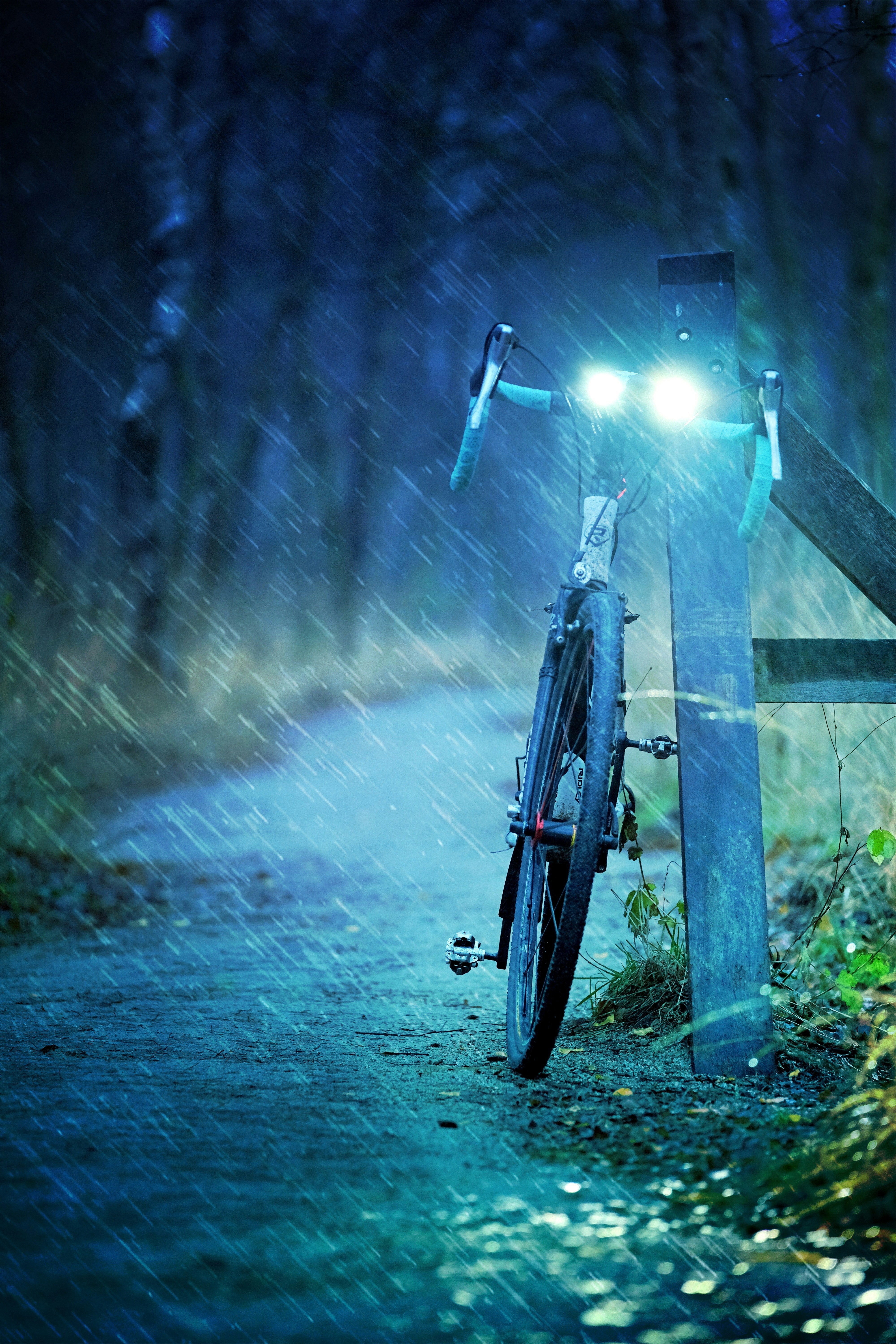Heavy rain coming down on forest path with bike perched against post