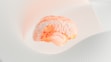 a close up of a human brain on a white surface