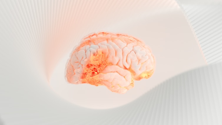 A human brain model is floating against a soft, abstract white background with curved, ribbed structures. The brain is illuminated with a warm, glowing hue, highlighting its intricate surface details.