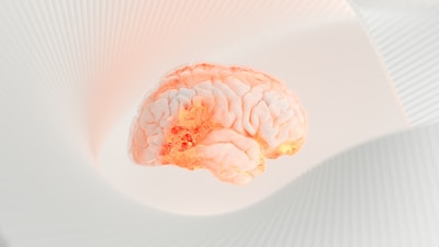 A human brain model is floating against a soft, abstract white background with curved, ribbed structures. The brain is illuminated with a warm, glowing hue, highlighting its intricate surface details.
