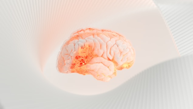 A human brain model is floating against a soft, abstract white background with curved, ribbed structures. The brain is illuminated with a warm, glowing hue, highlighting its intricate surface details.