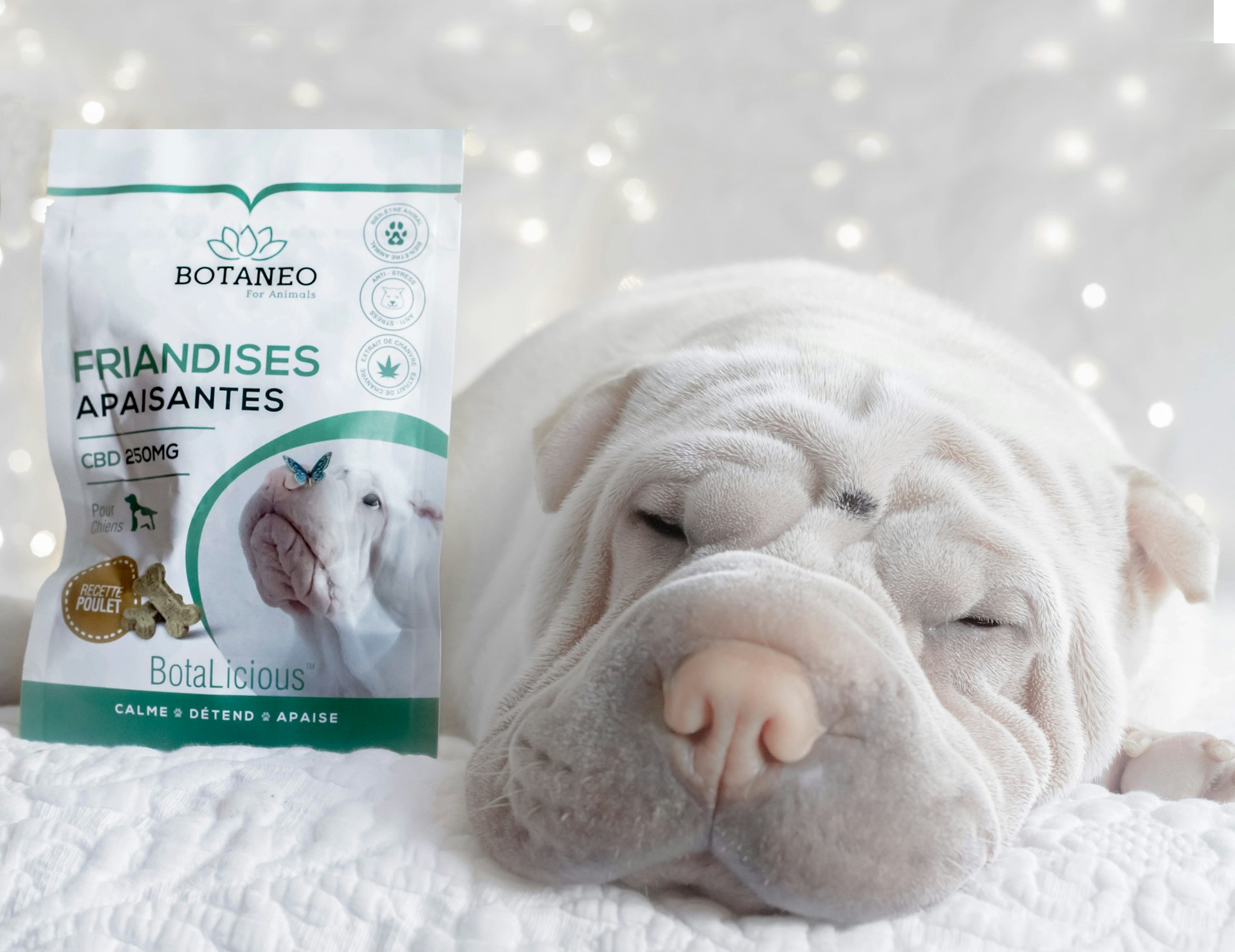 woman wearing yellow long-sleeved dress under white clouds and blue sky during daytime