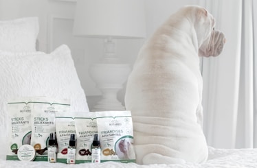 A white dog is sitting on a bed facing away from the camera. In front of the dog, there are several pet care products, including treats and oils labeled Botaneo, arranged neatly on the bed. The background features white bedding and a white nightstand with a white lamp.
