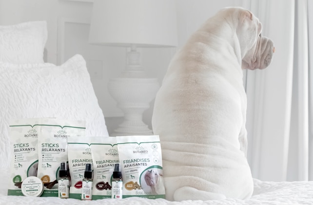 A white dog is sitting on a bed facing away from the camera. In front of the dog, there are several pet care products, including treats and oils labeled Botaneo, arranged neatly on the bed. The background features white bedding and a white nightstand with a white lamp.