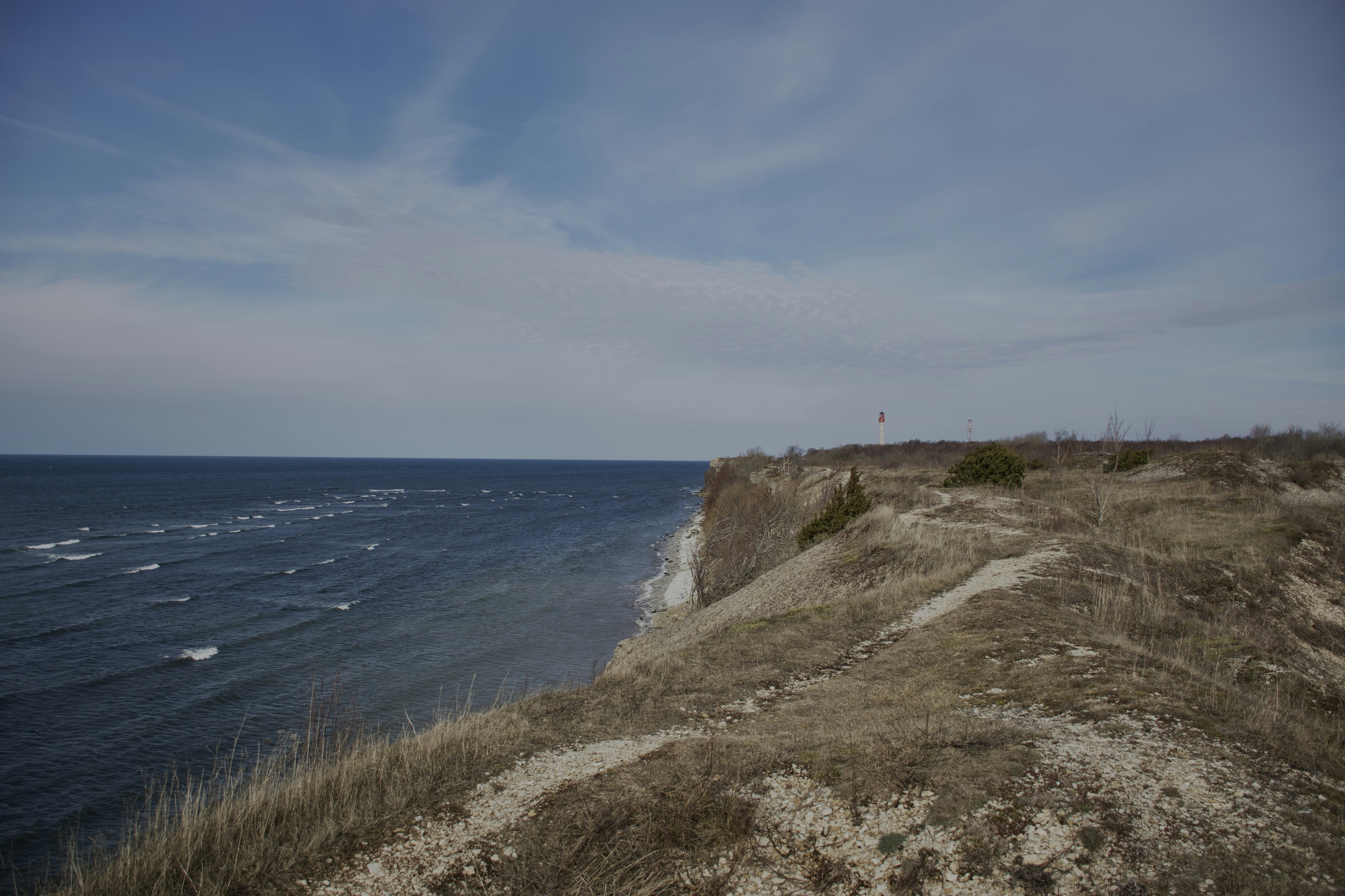 Photo by olga_vyrostko