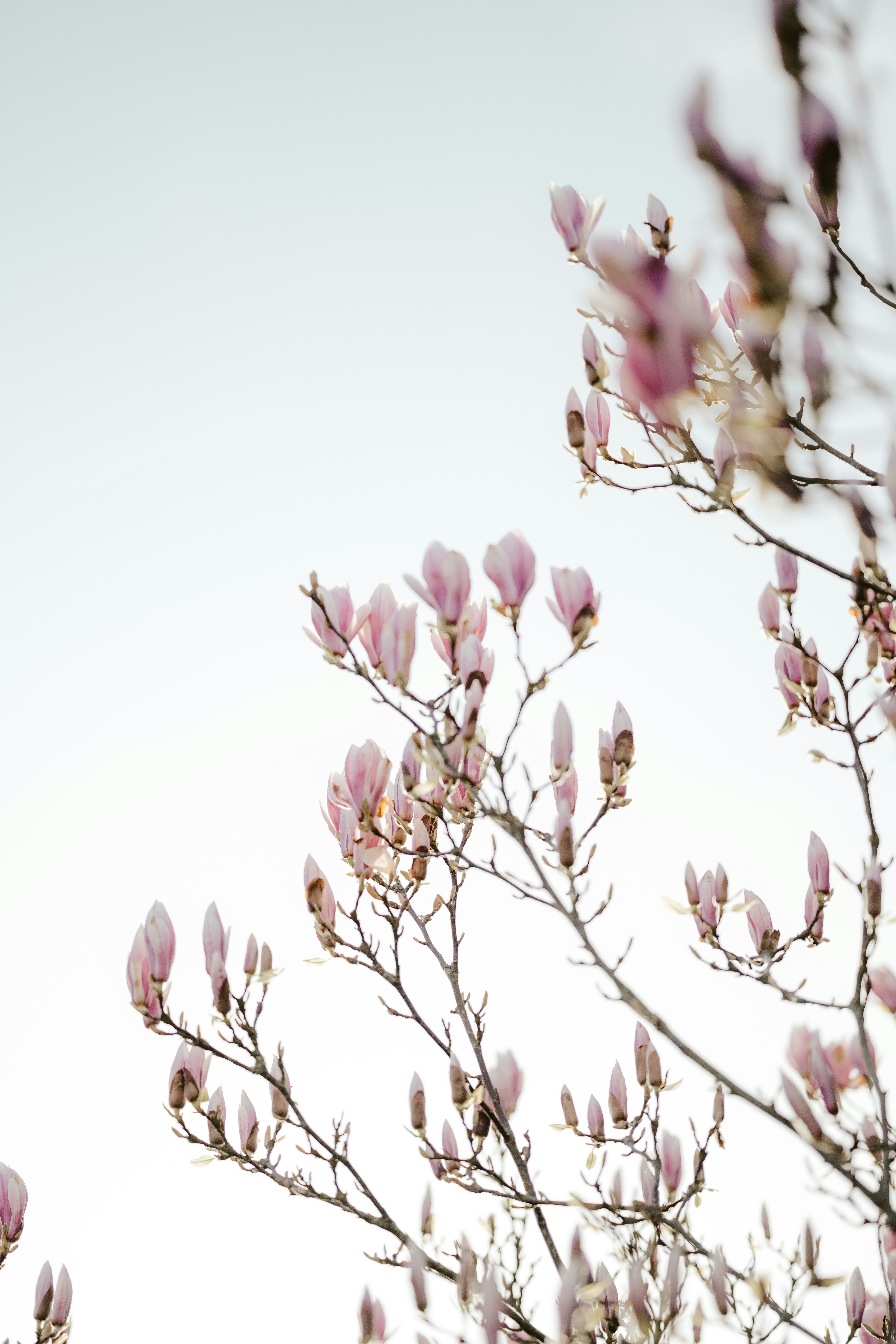 Photo by anniespratt