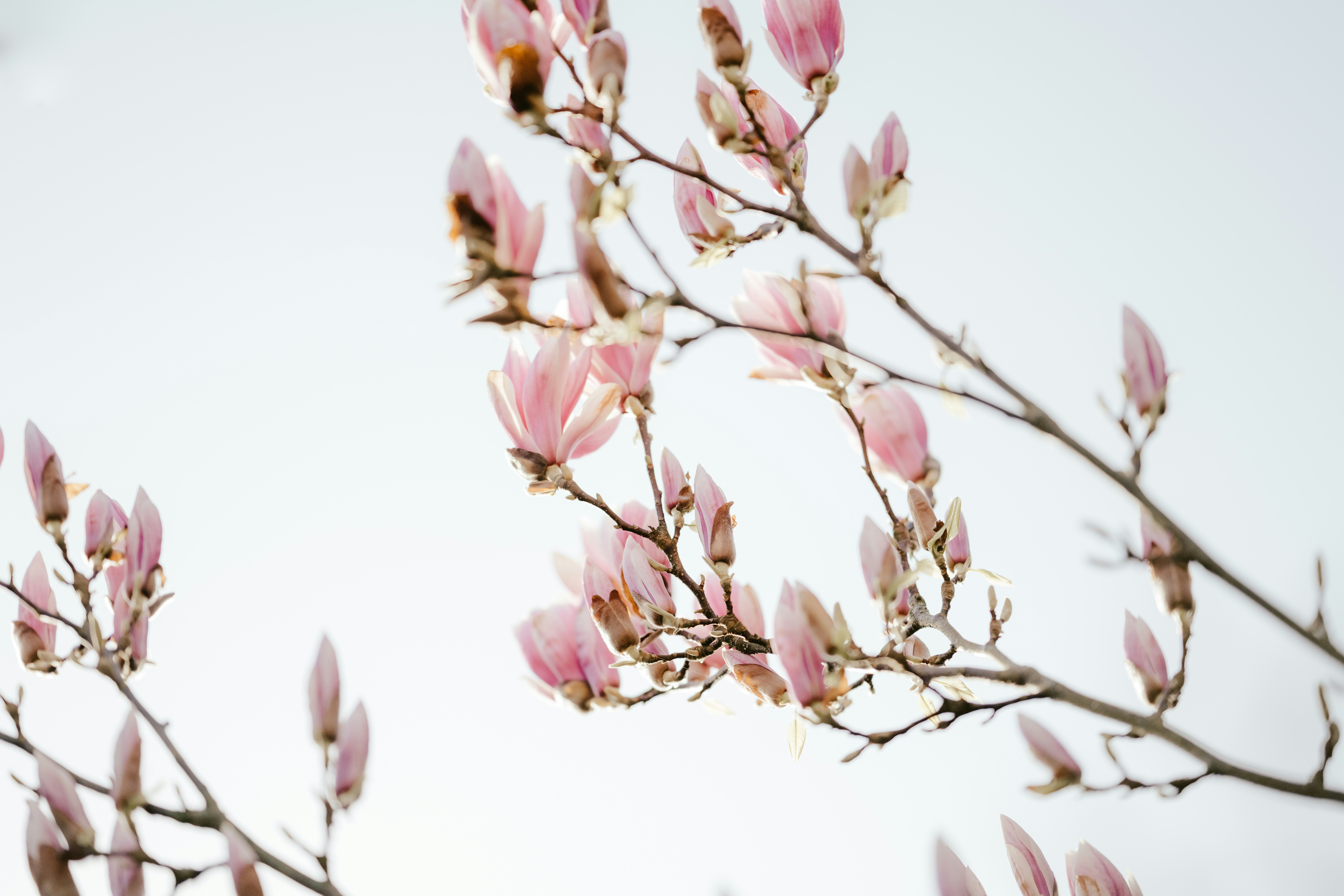 Photo by anniespratt