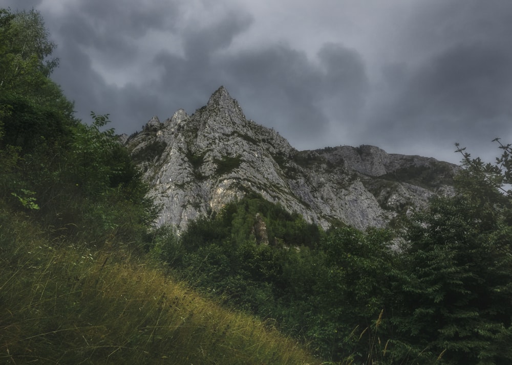 a very tall mountain surrounded by trees under a cloudy sky