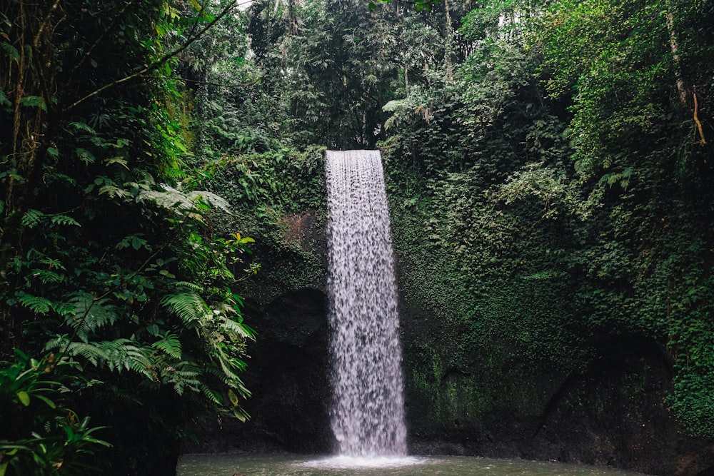 a large waterfall in the middle of a jungle