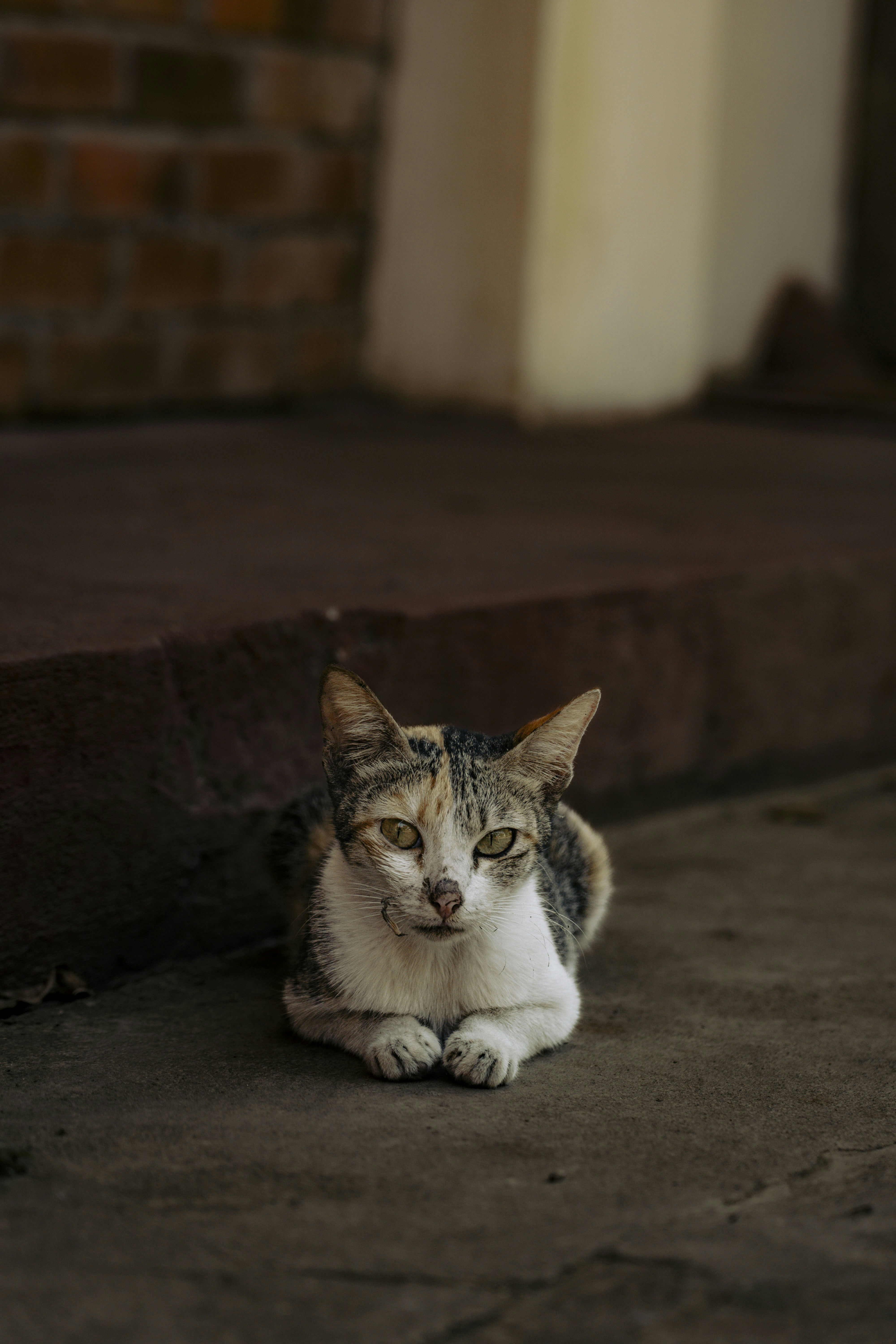 Photo by litochi_graphy