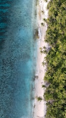 A scenic aerial view of a popular Mexican beach destination with clear blue waters and sandy shores.
