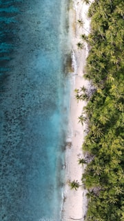 A scenic aerial view of a popular Mexican beach destination with clear blue waters and sandy shores.