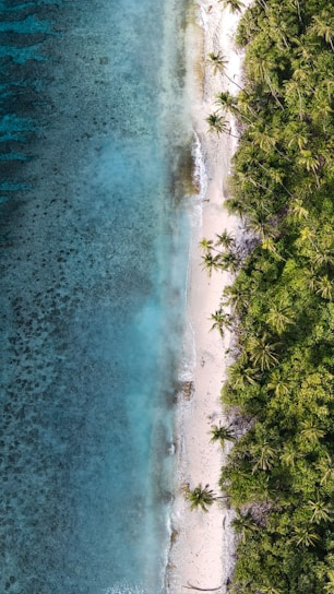 A stunning view of a tropical beach with clear blue waters.
