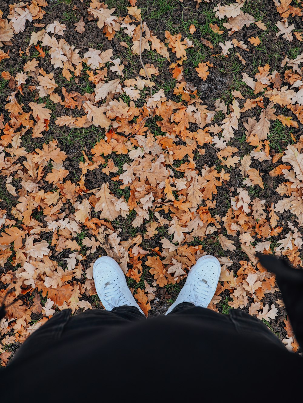a person standing in front of a pile of leaves