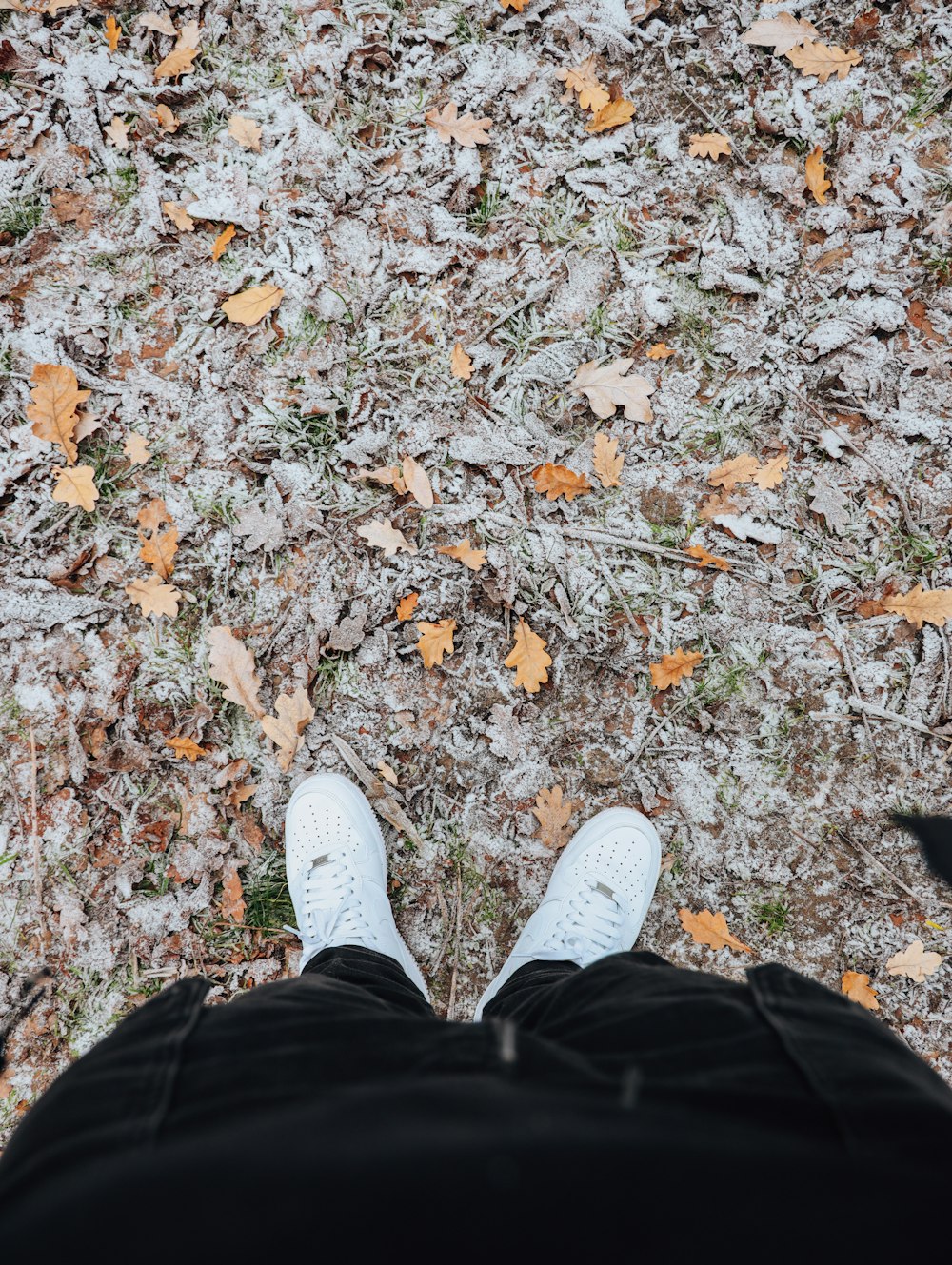 a person standing on a leaf covered ground