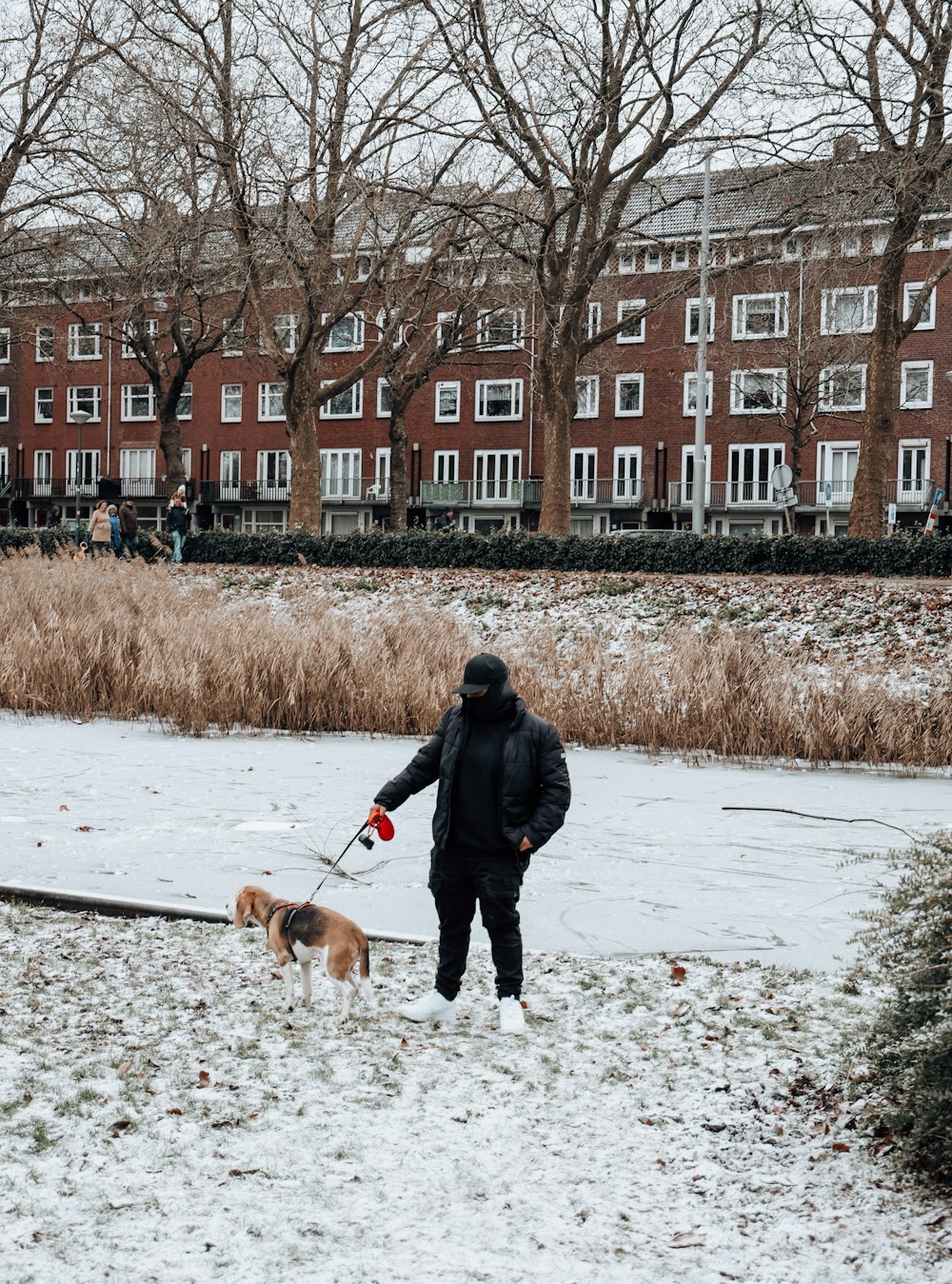 a person walking a dog in the snow