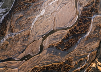 An aerial view of a vast landscape featuring braided river channels winding through light brown and tan sediment. Sparse vegetation and clusters of trees are scattered throughout the scene, creating patches of dark green and brown against the sandy terrain.