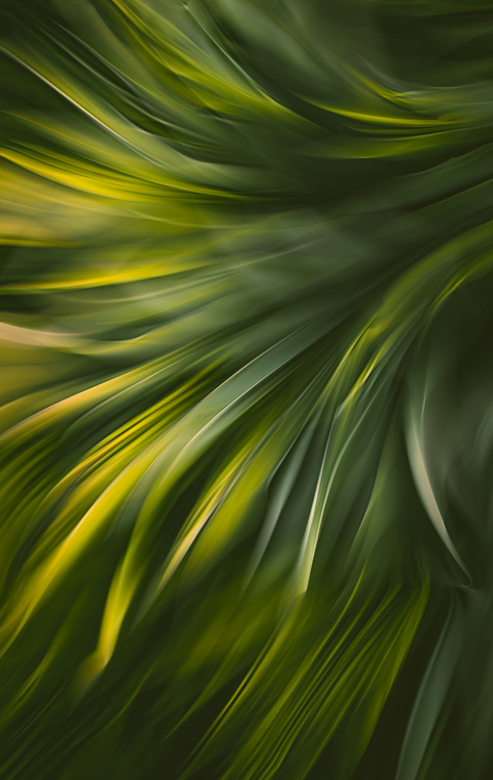 a close up of a green leafy plant