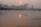 A peaceful riverside scene at dawn with soft light reflecting on the water.
