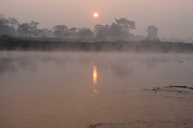 A quiet moment of meditation beside a peaceful river at dawn.