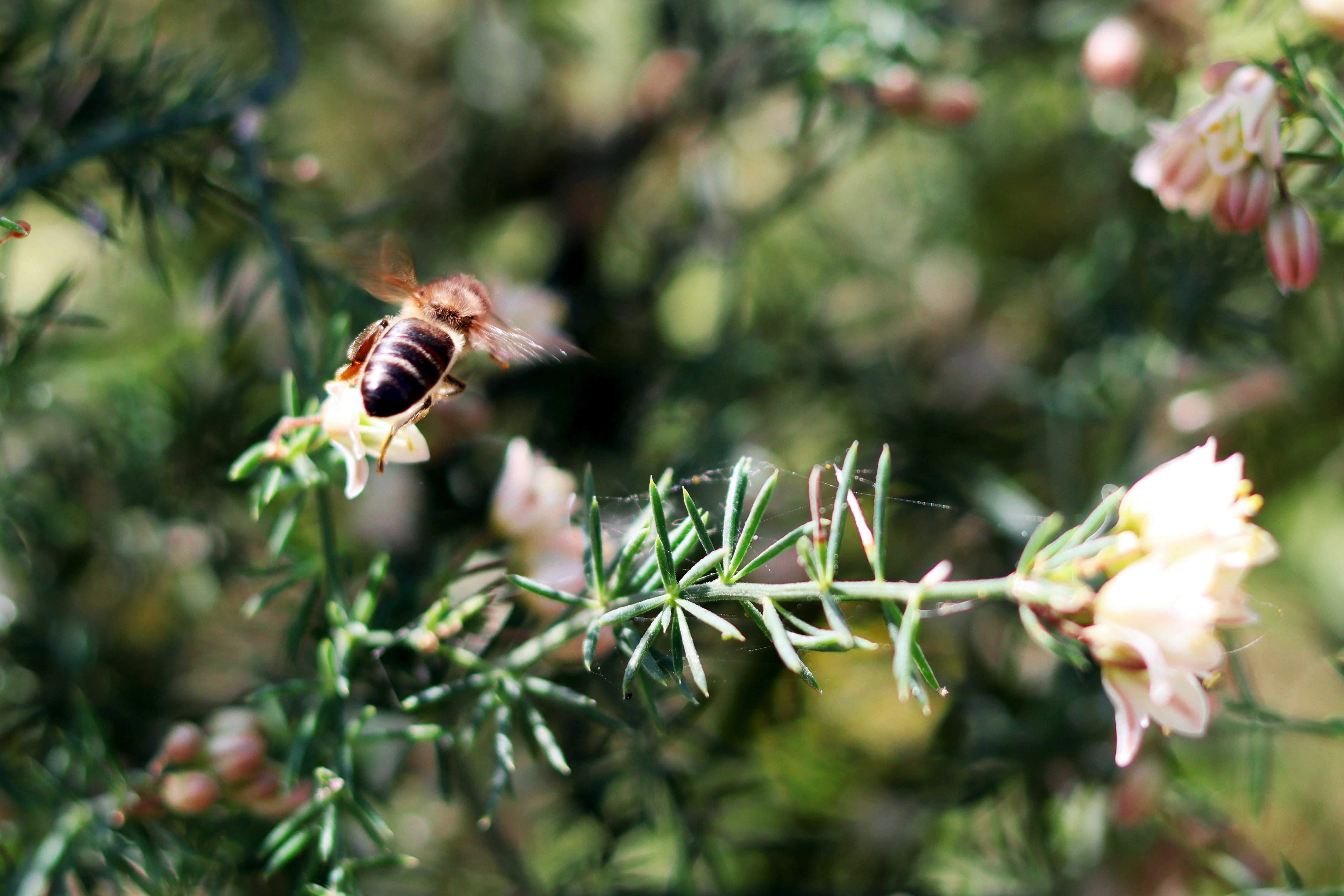 Photo by carolinagrants