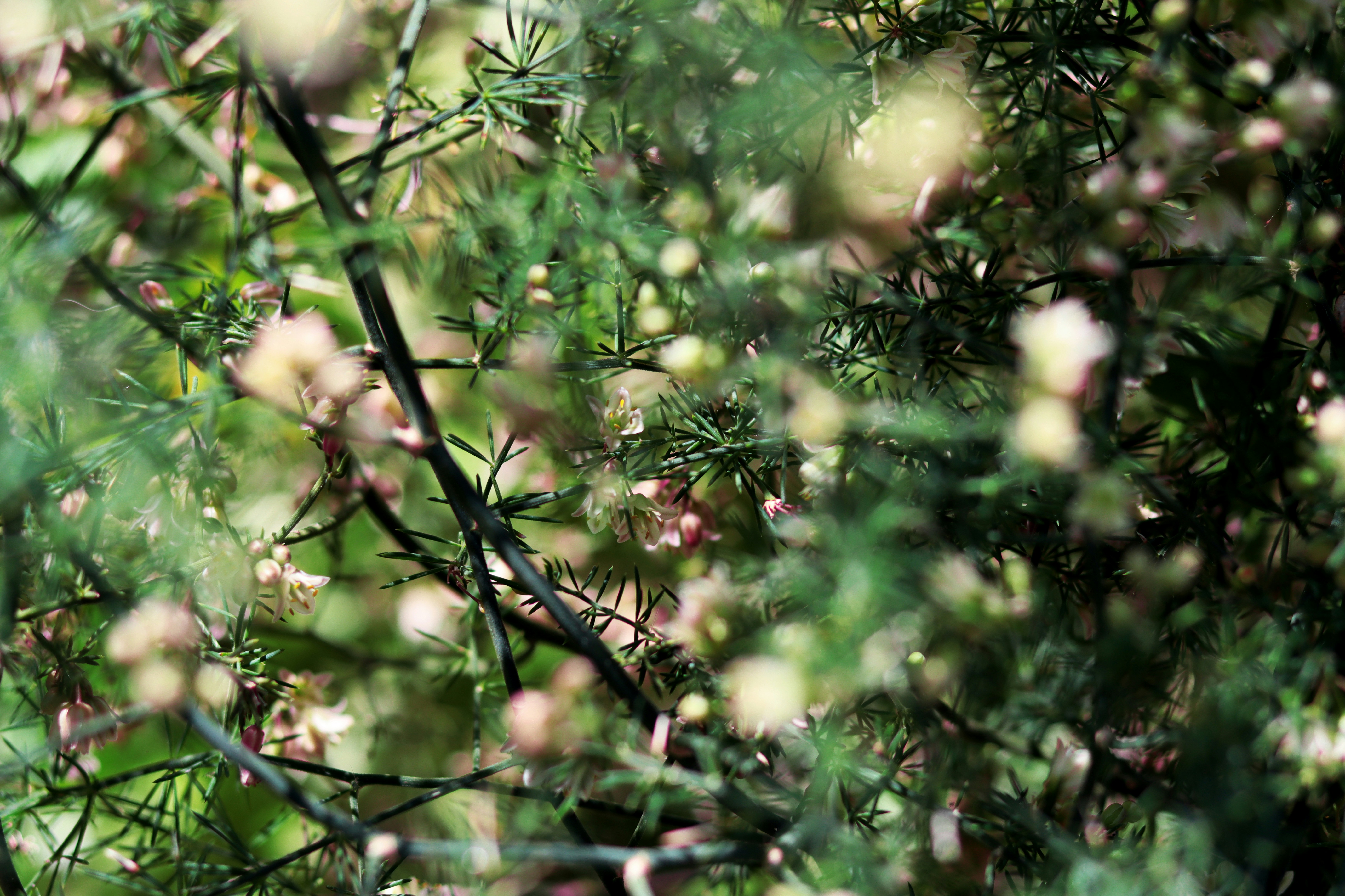 Photo by carolinagrants