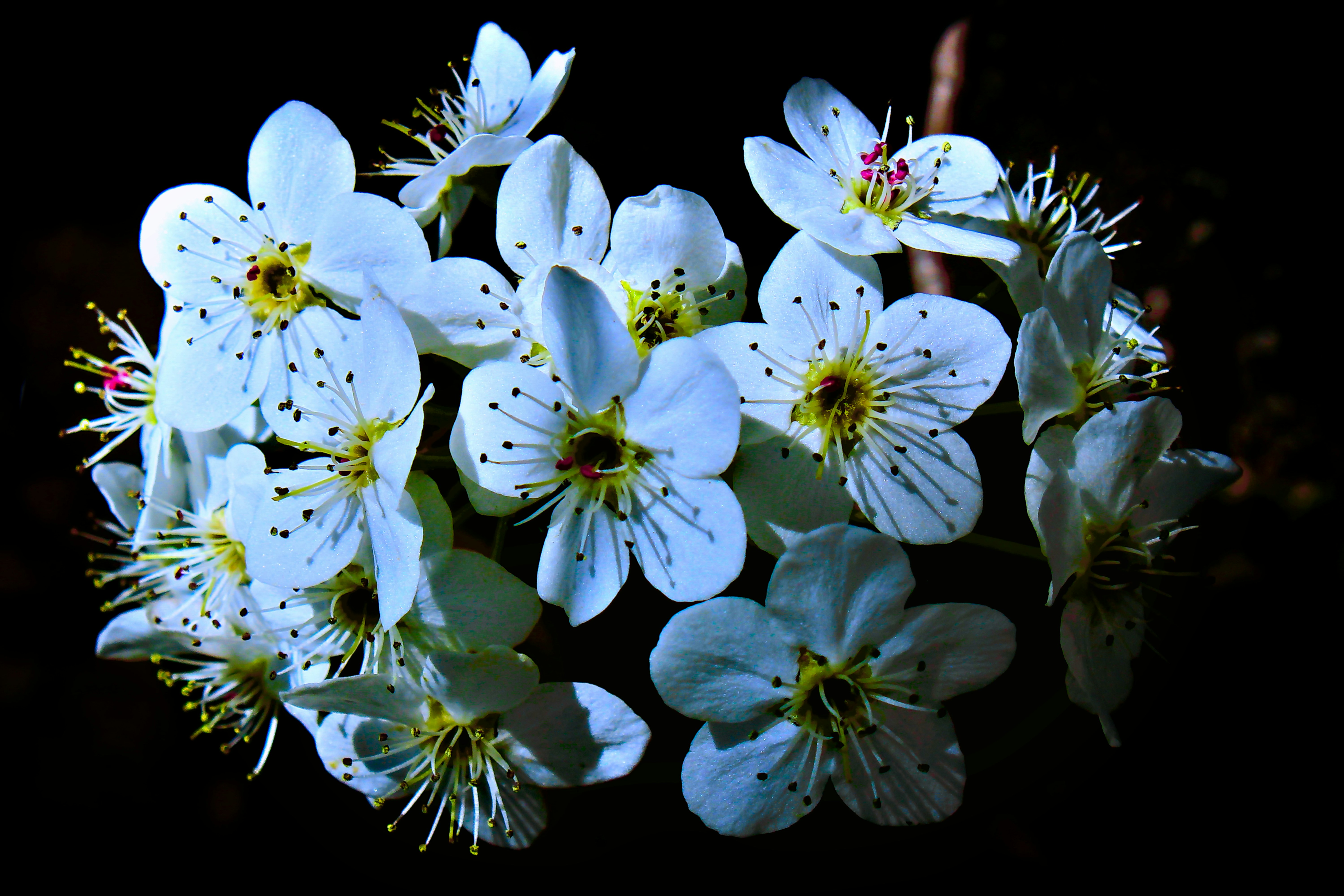 Photo by thezestybohemian