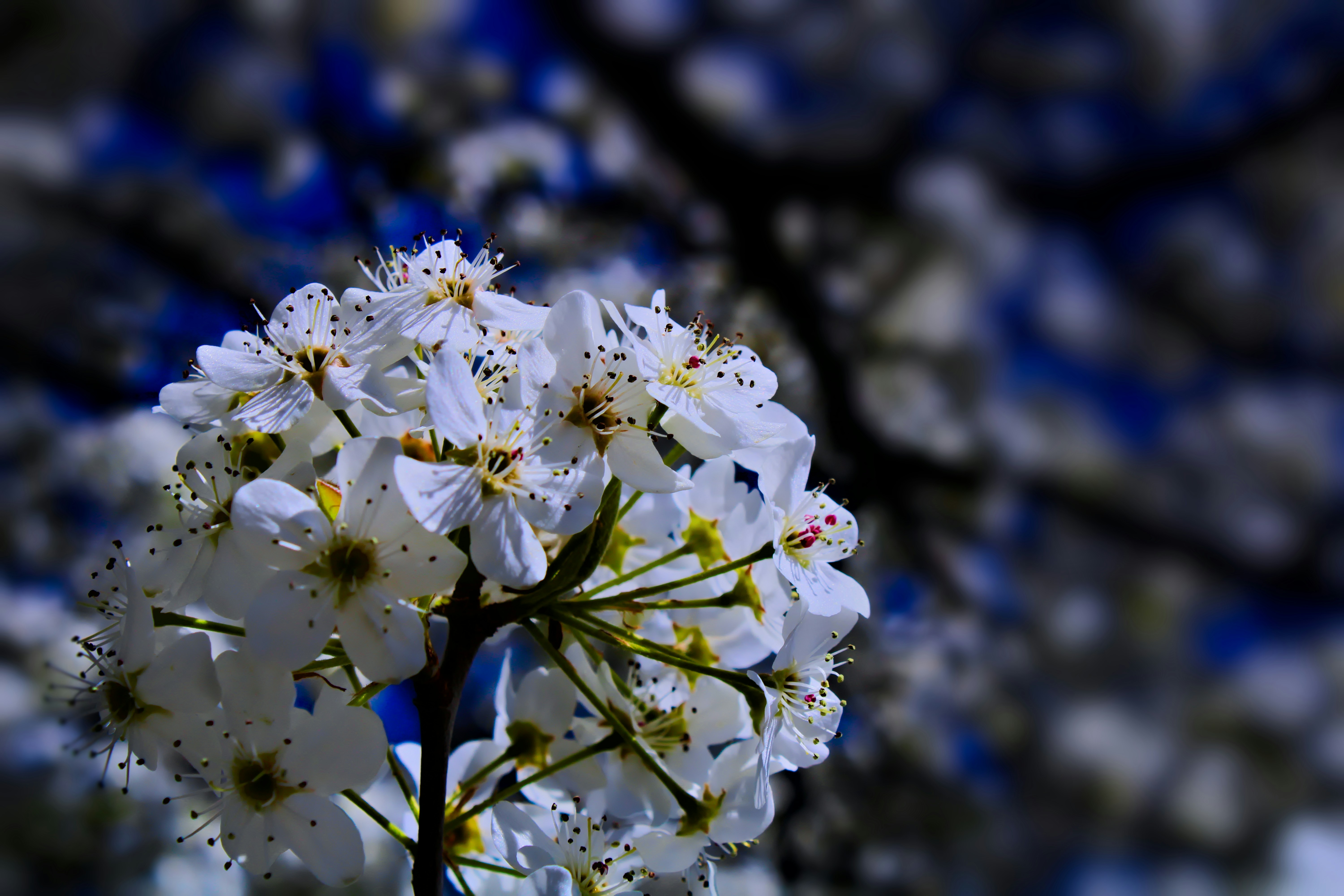 Photo by thezestybohemian