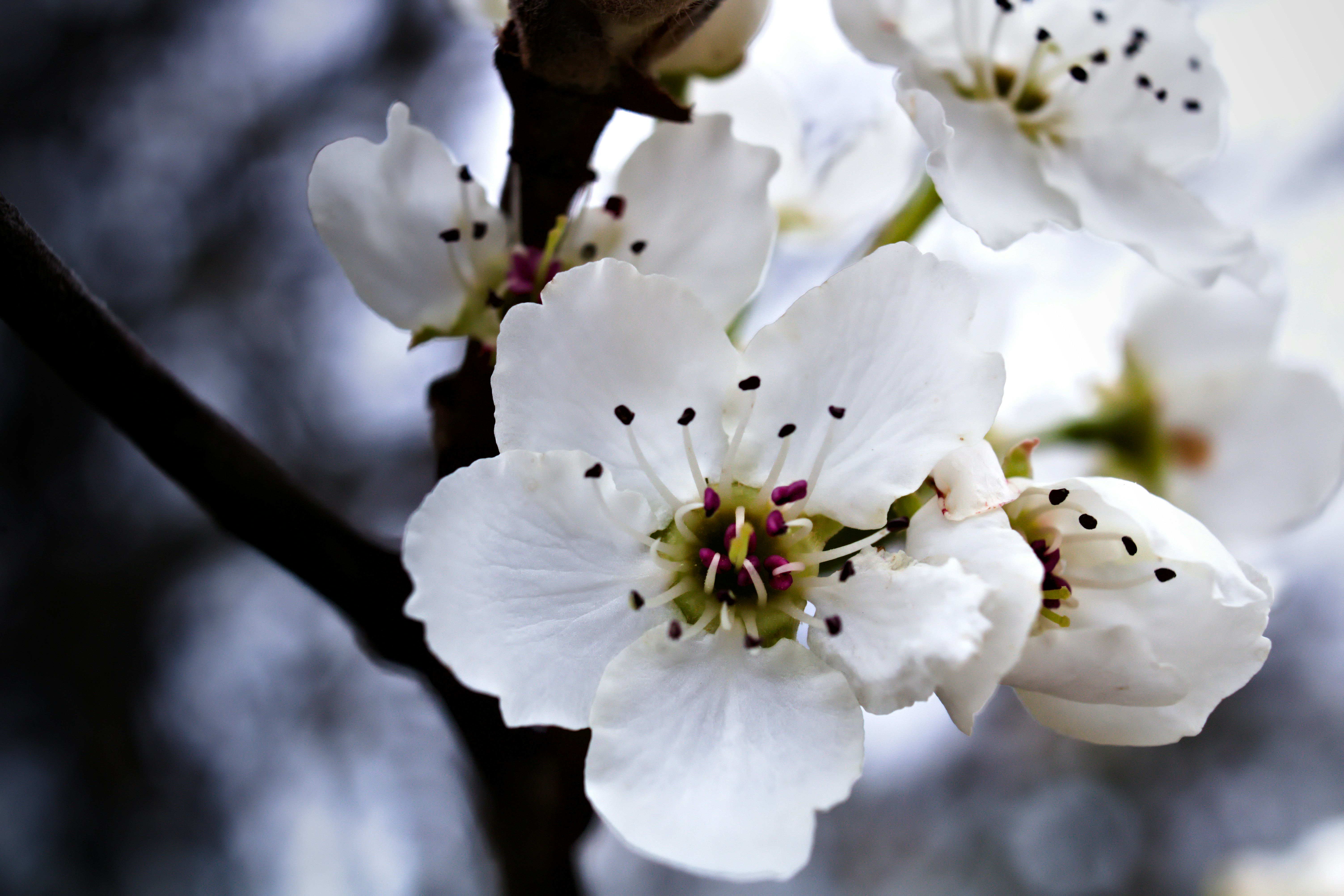 Photo by thezestybohemian