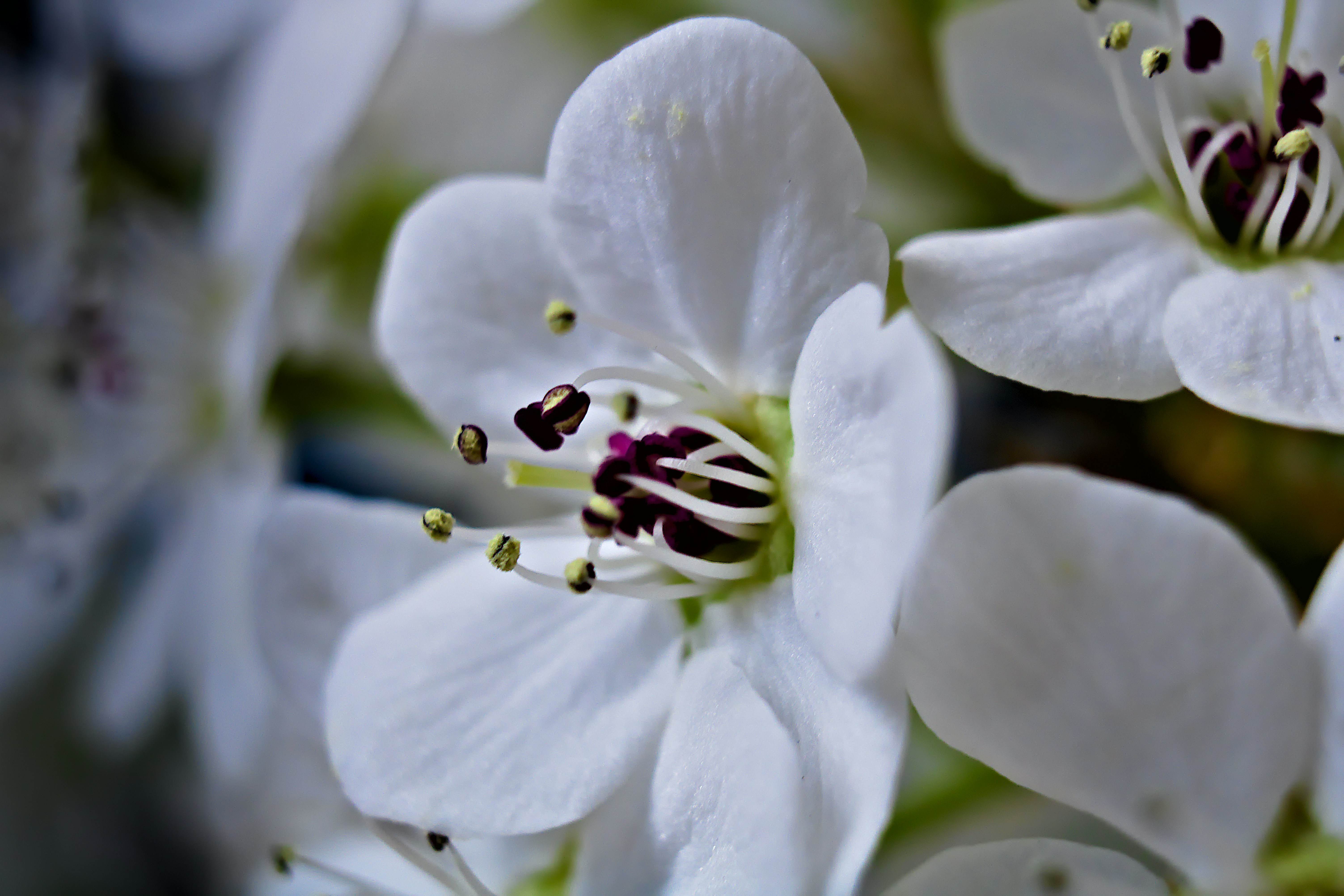 Photo by thezestybohemian