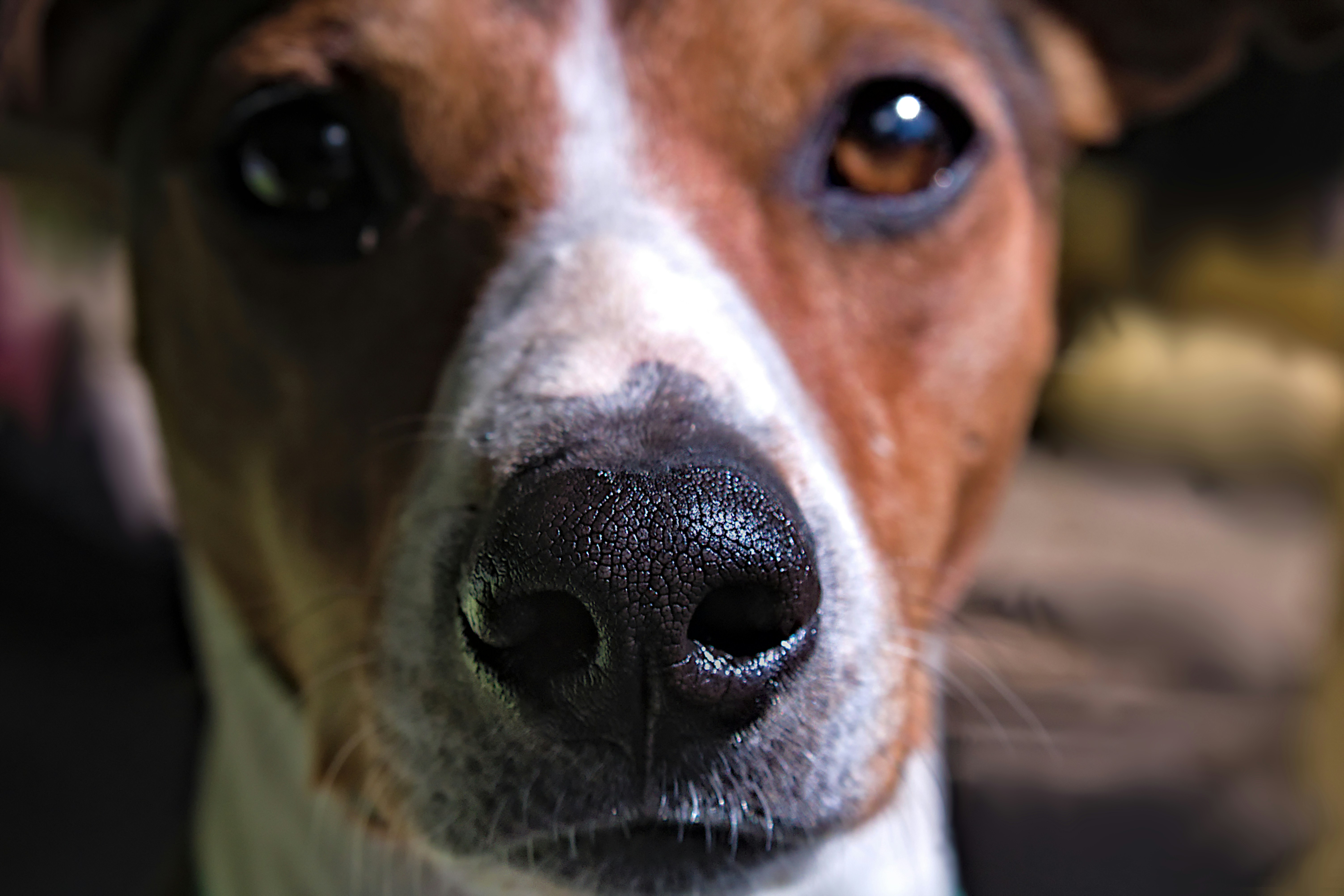 Photo by thezestybohemian