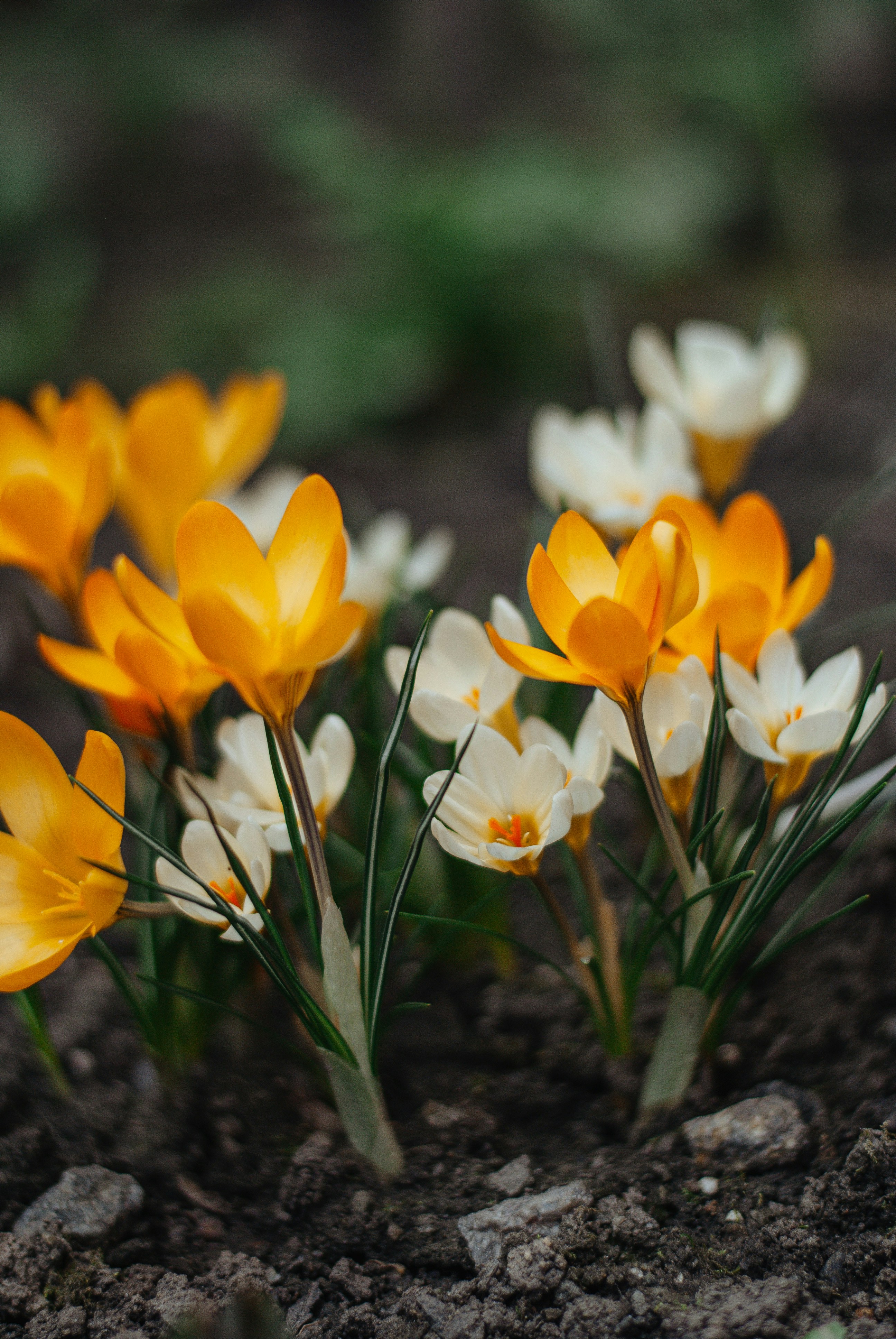 Photo by hannanovytska