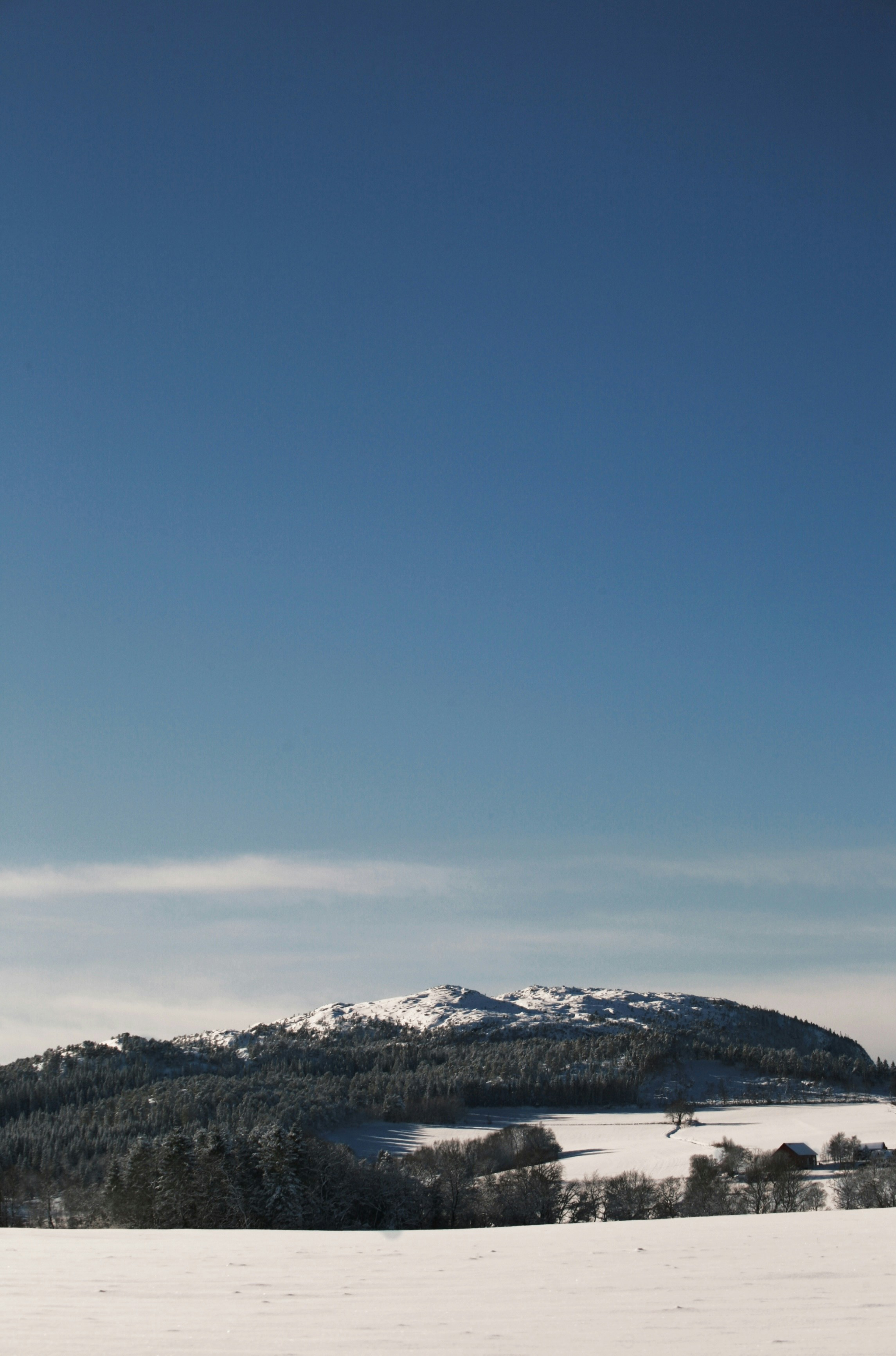 Photo by kristinokarlsen