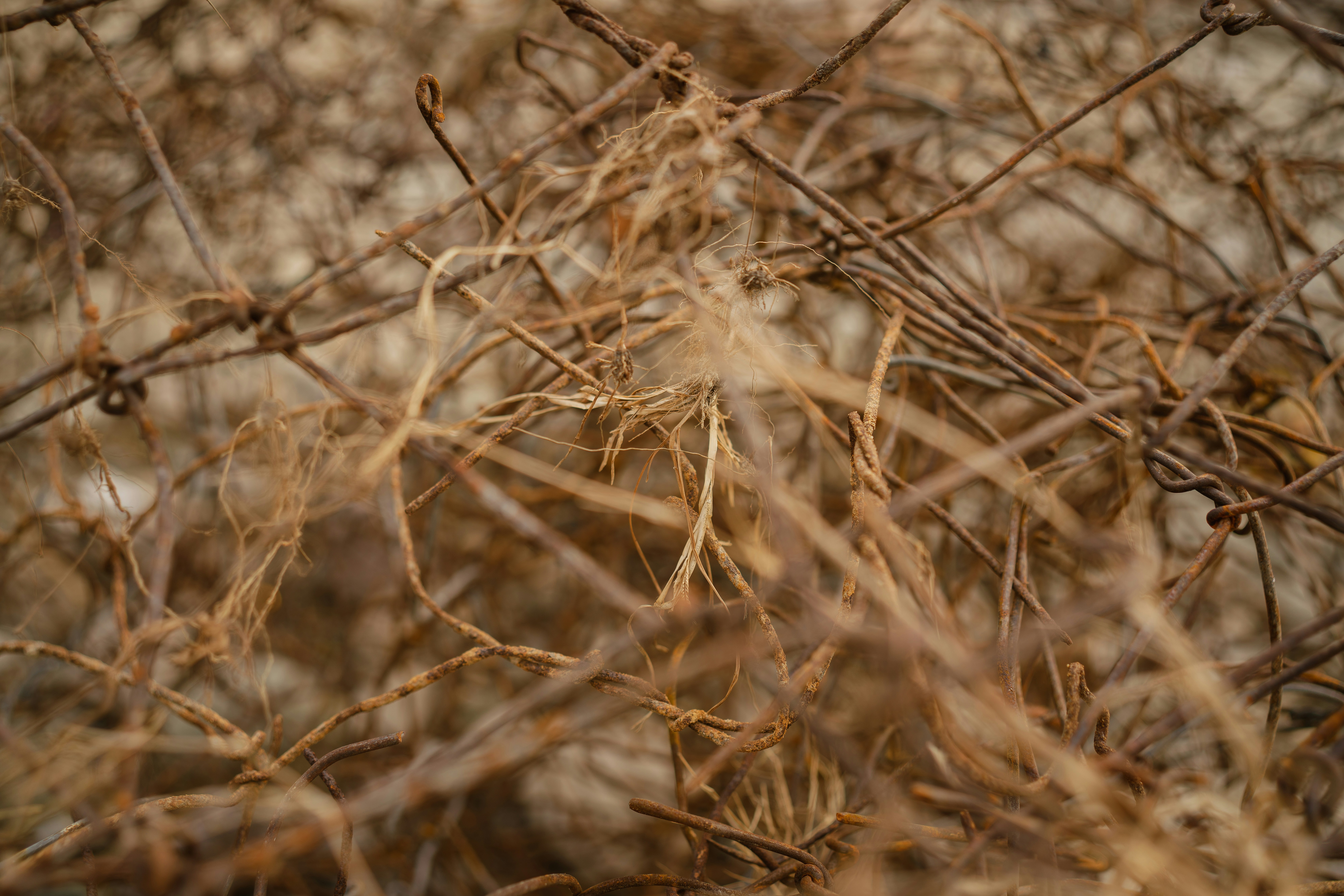 Photo by viditgoswami