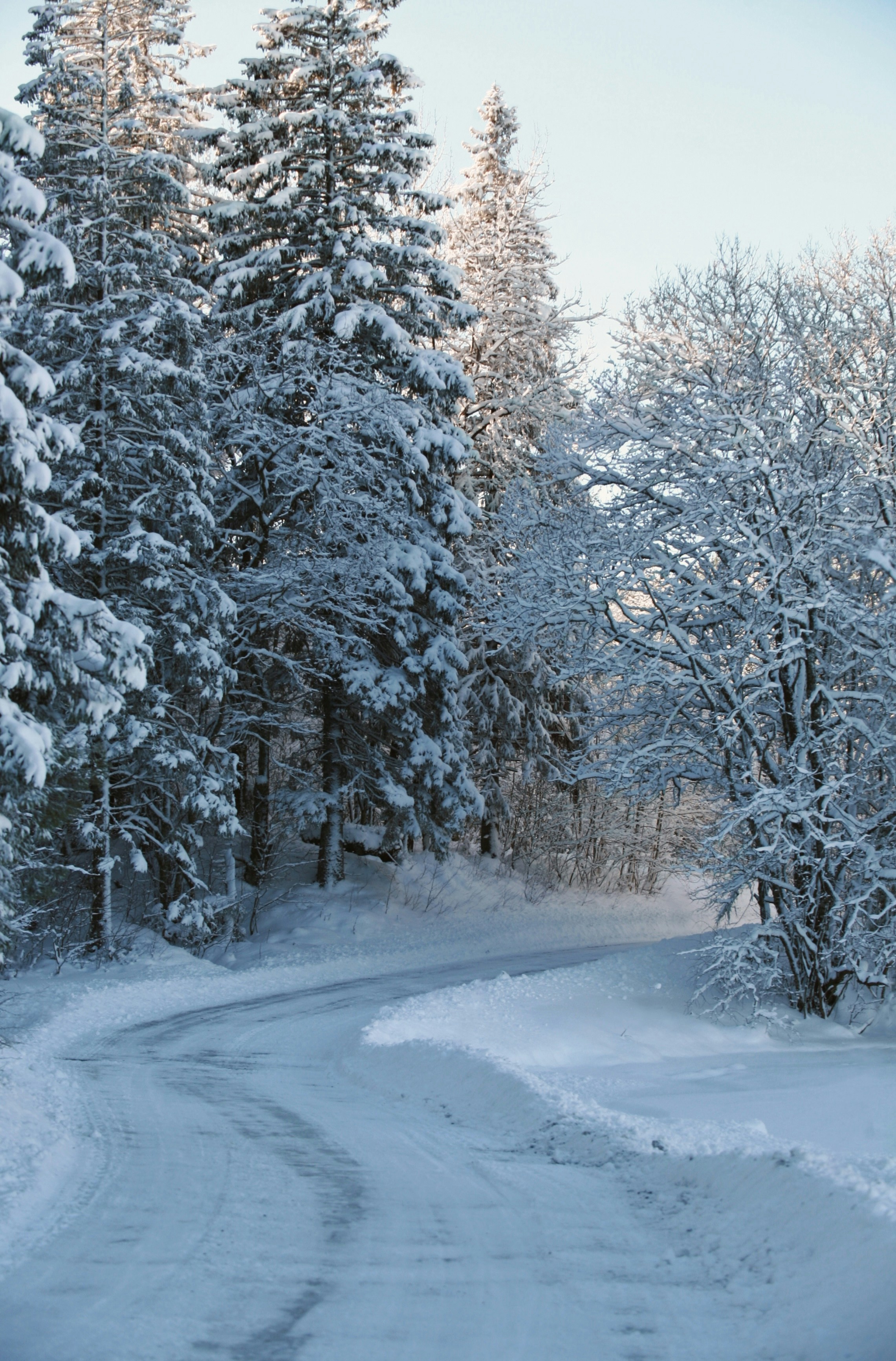 Photo by kristinokarlsen