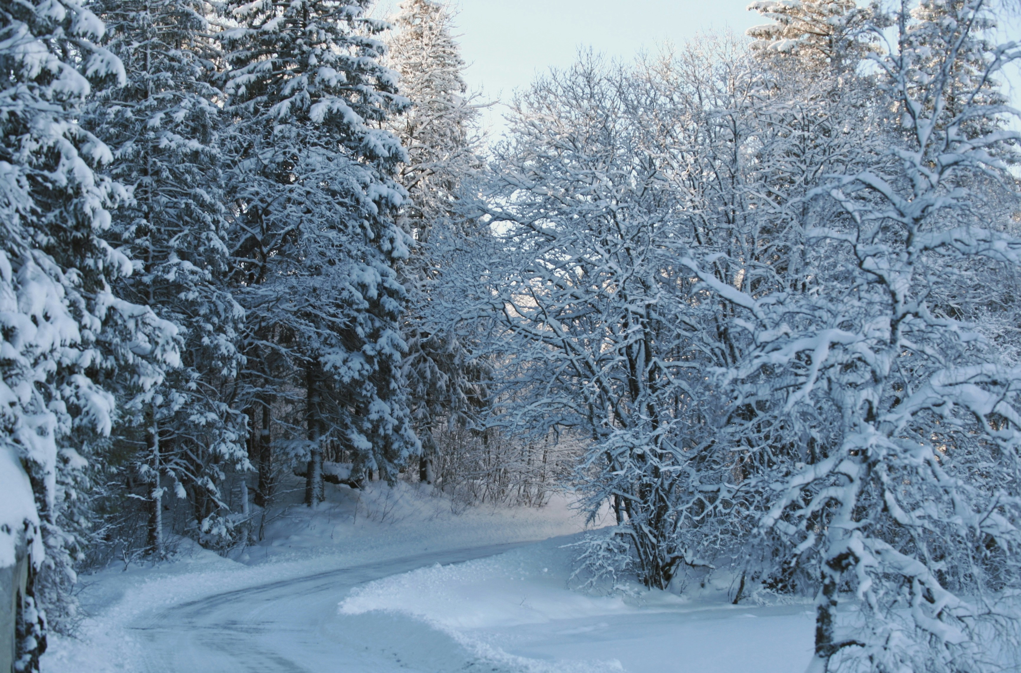 Photo by kristinokarlsen