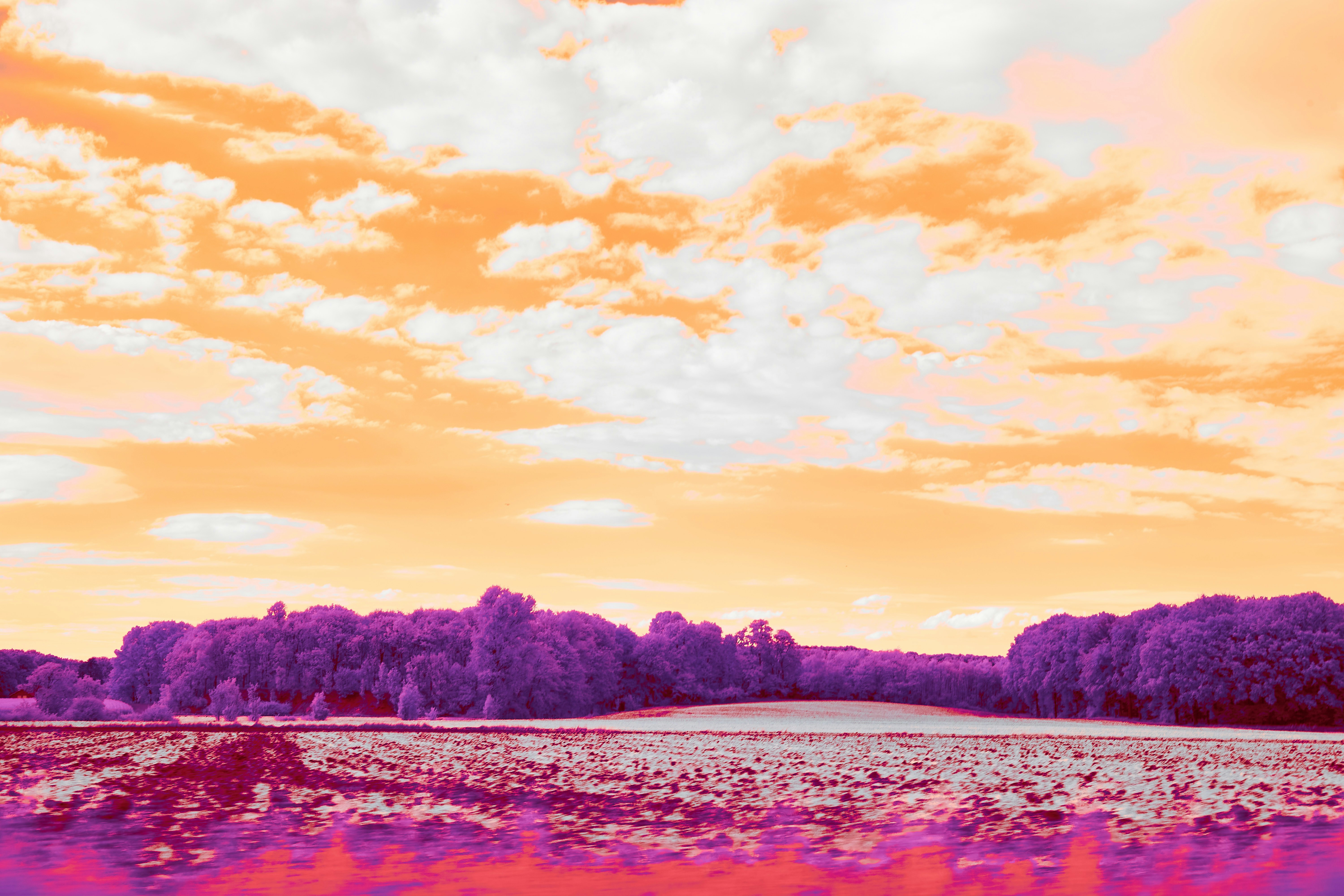 Photo by wolfgang_hasselmann