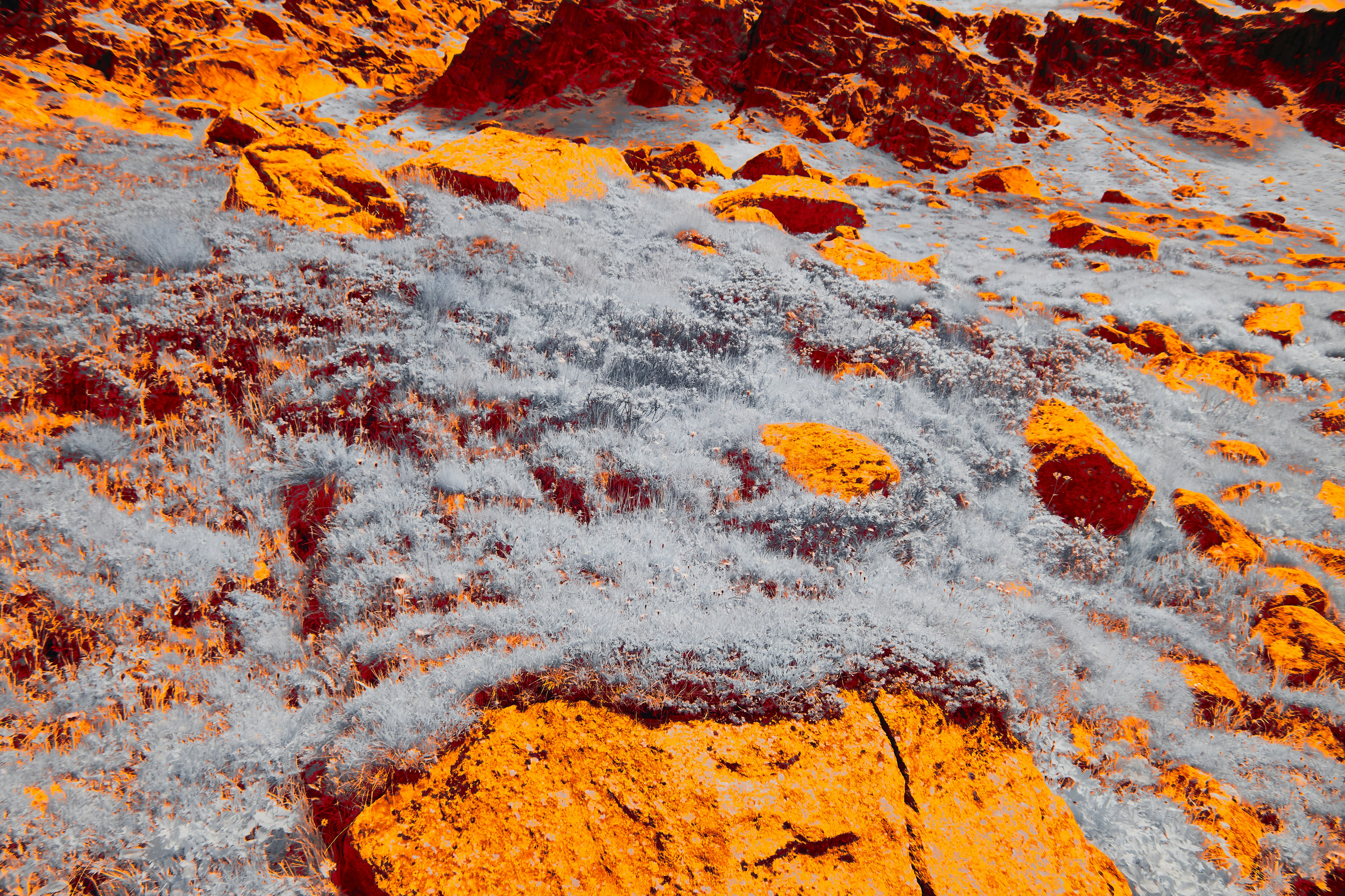 Photo by wolfgang_hasselmann