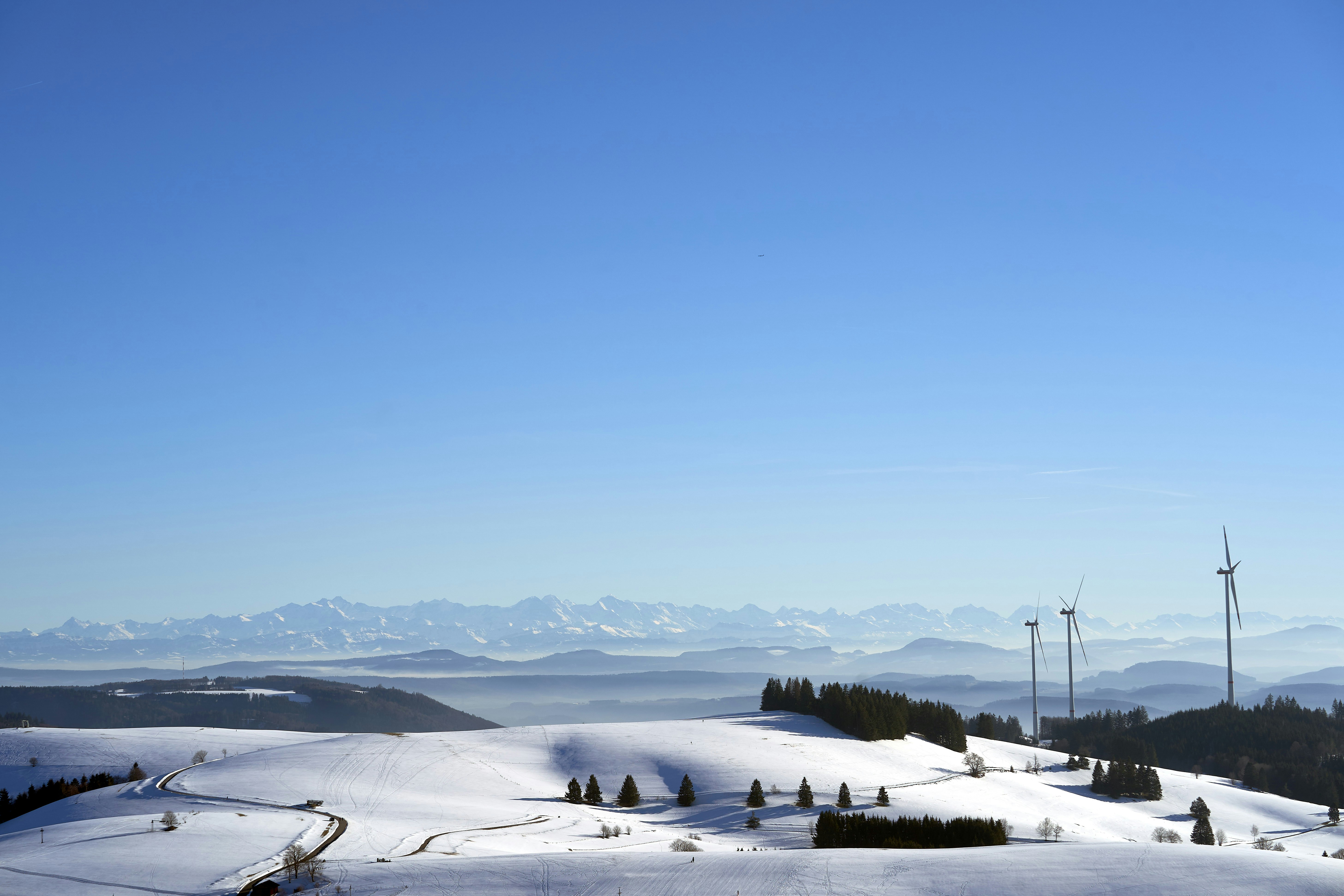 Photo by wolfgang_hasselmann