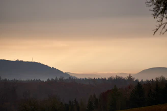 A peaceful Coorg landscape with a subtle digital overlay symbolizing AI connection.