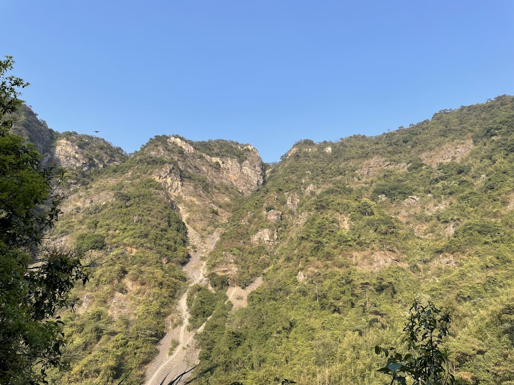 a view of a mountain side with trees on the side