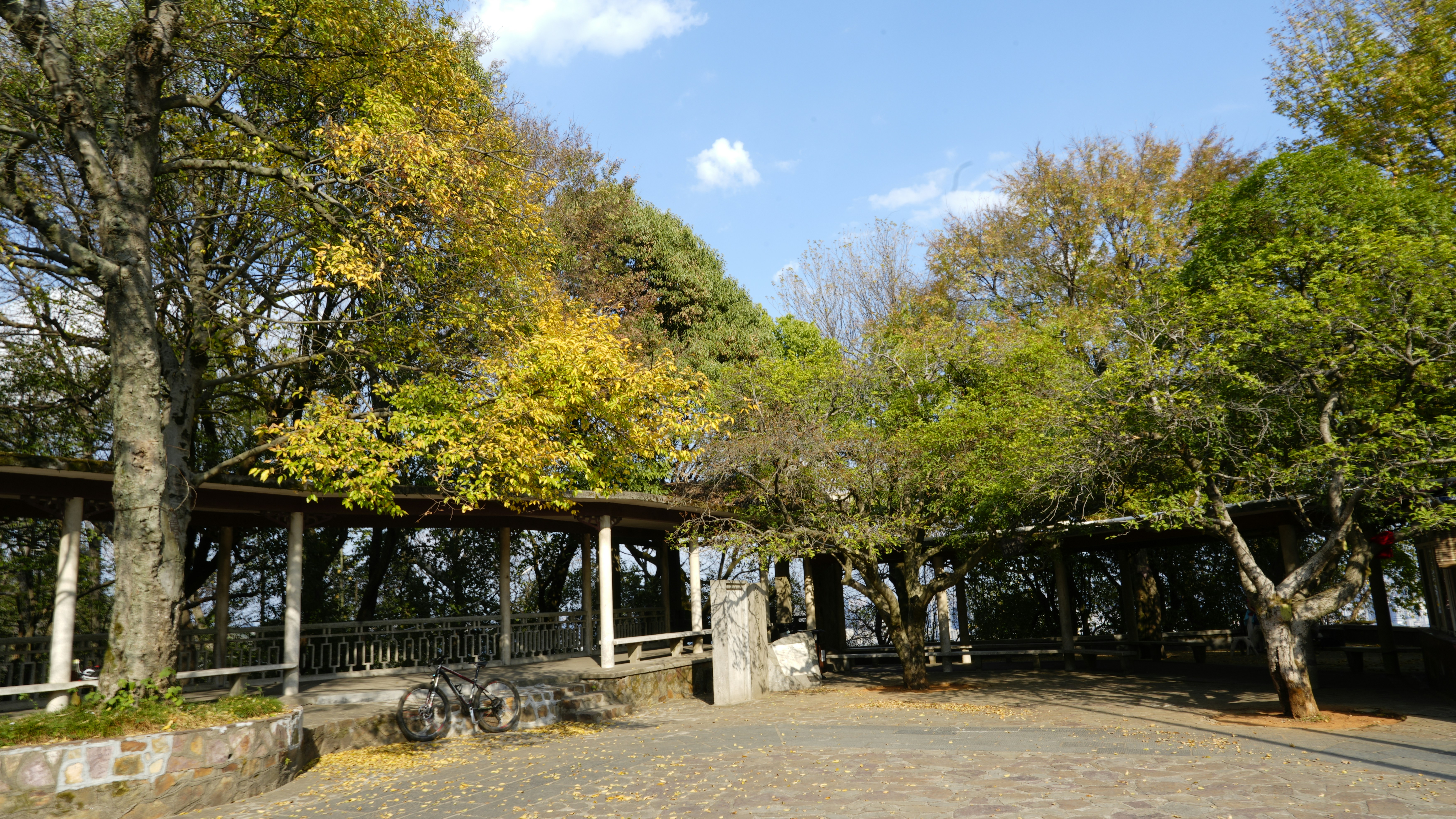Photo by aodaliao