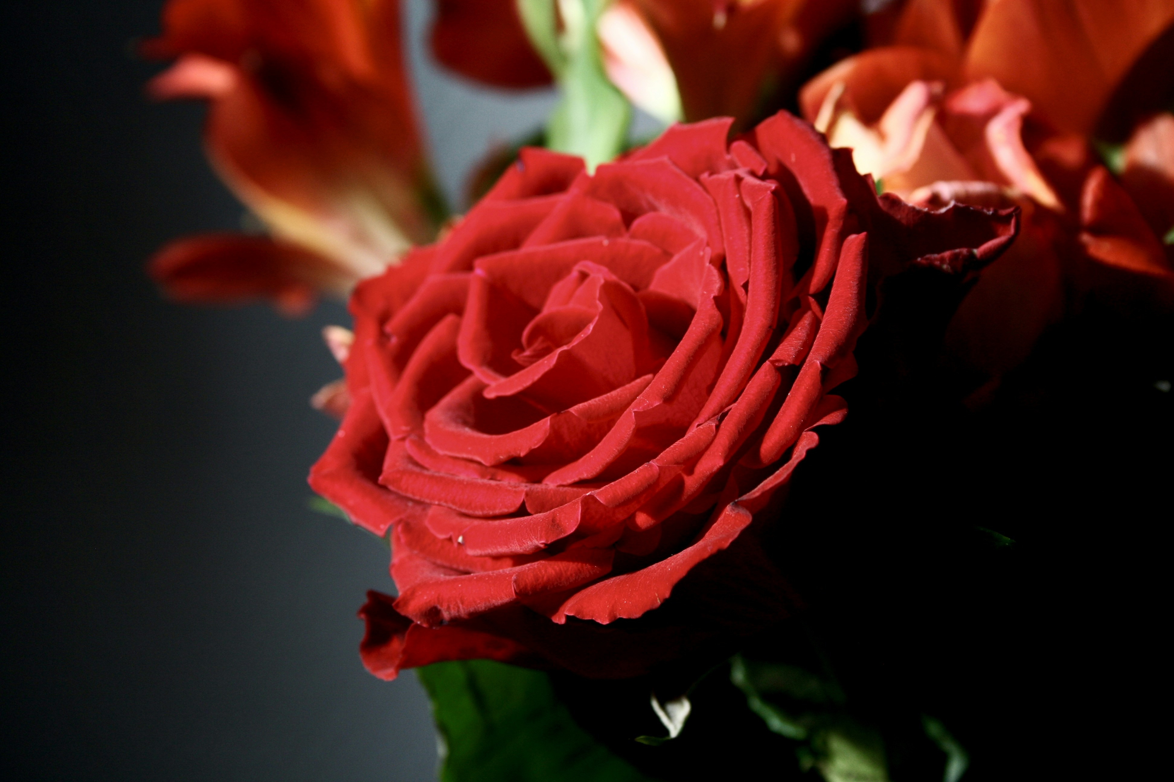 Photo by kristinokarlsen