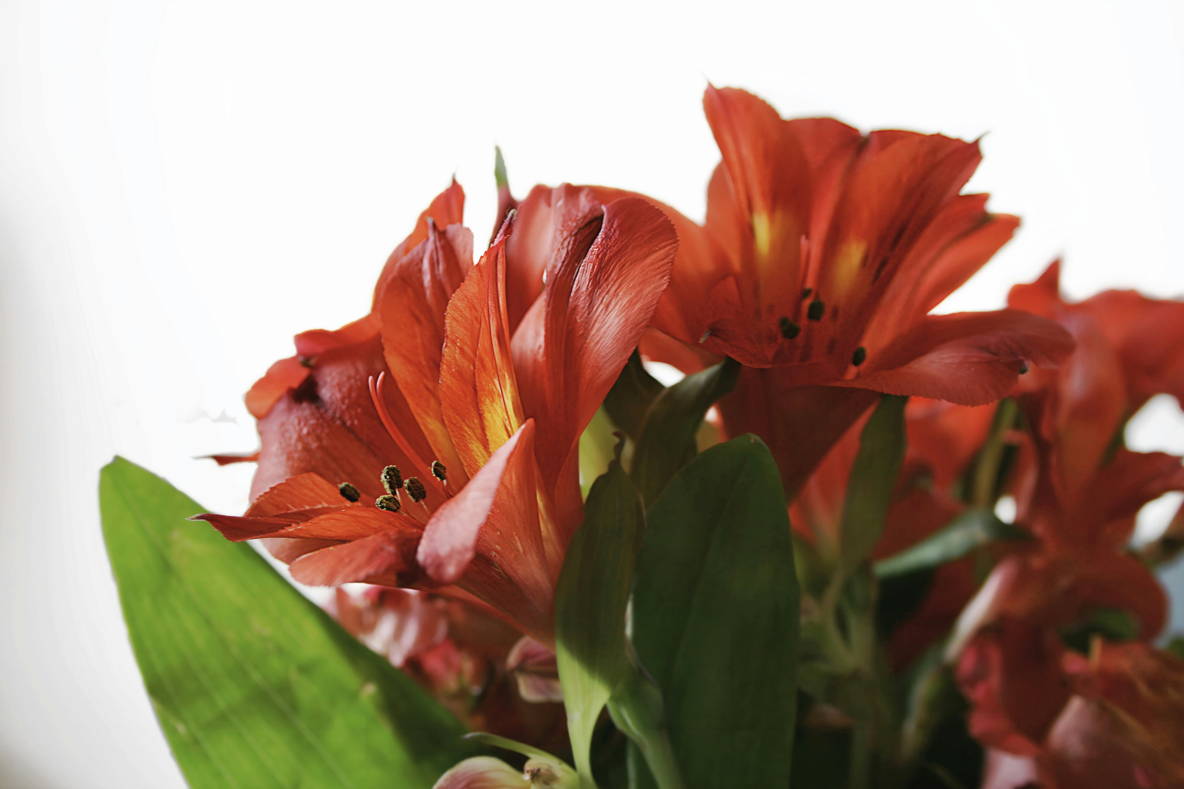 Photo by kristinokarlsen