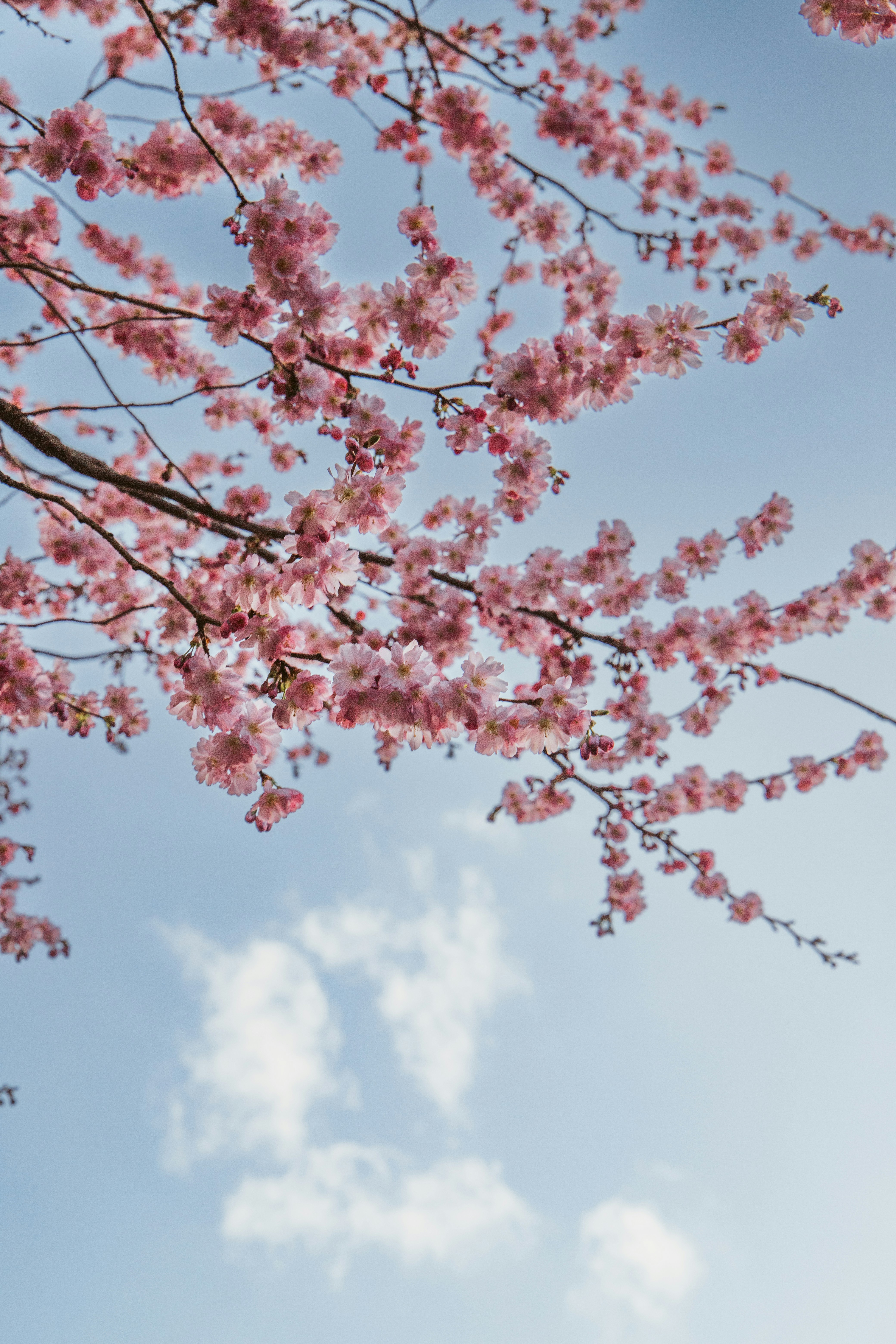 Photo by katharina_bill