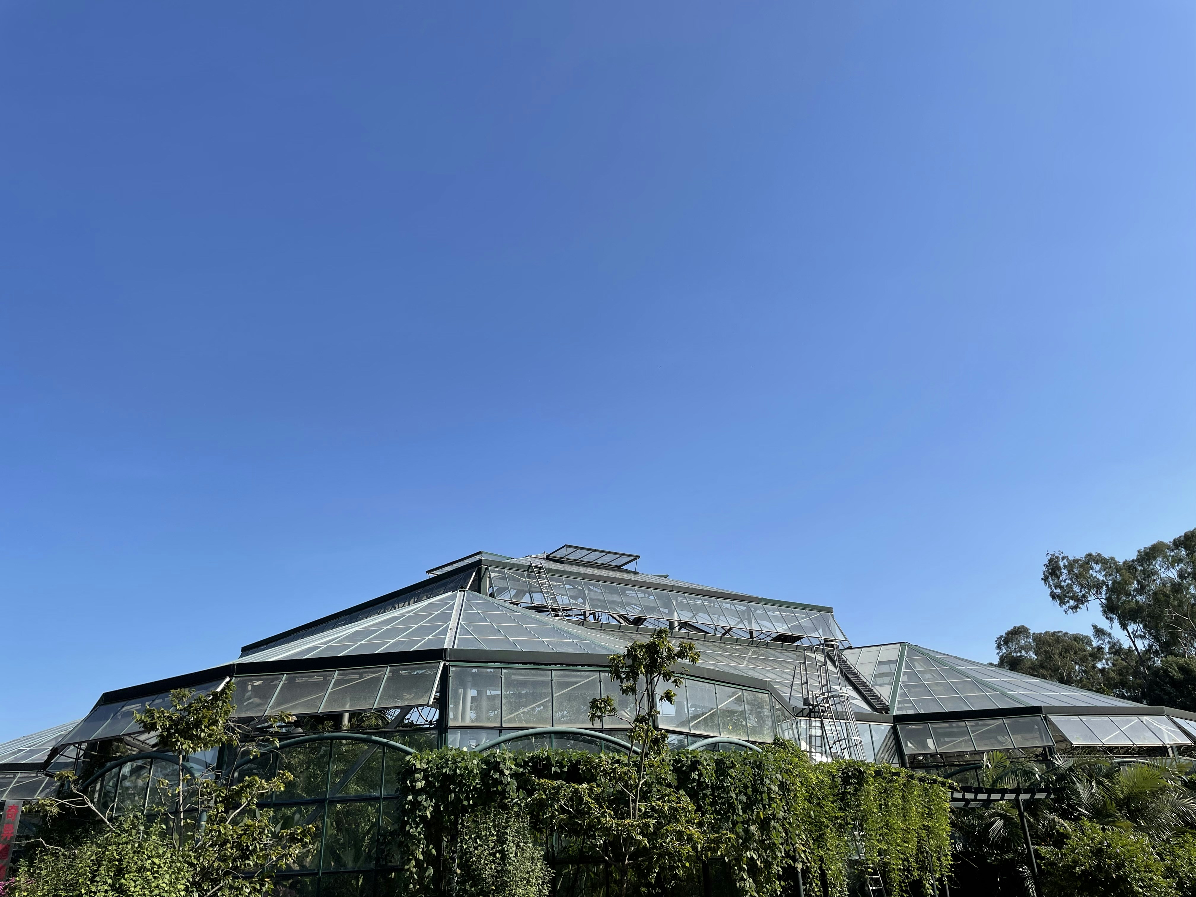 Modern white metal greenhouse structure with transparent polycarbonate panels, surrounded by green farmland under blue sky