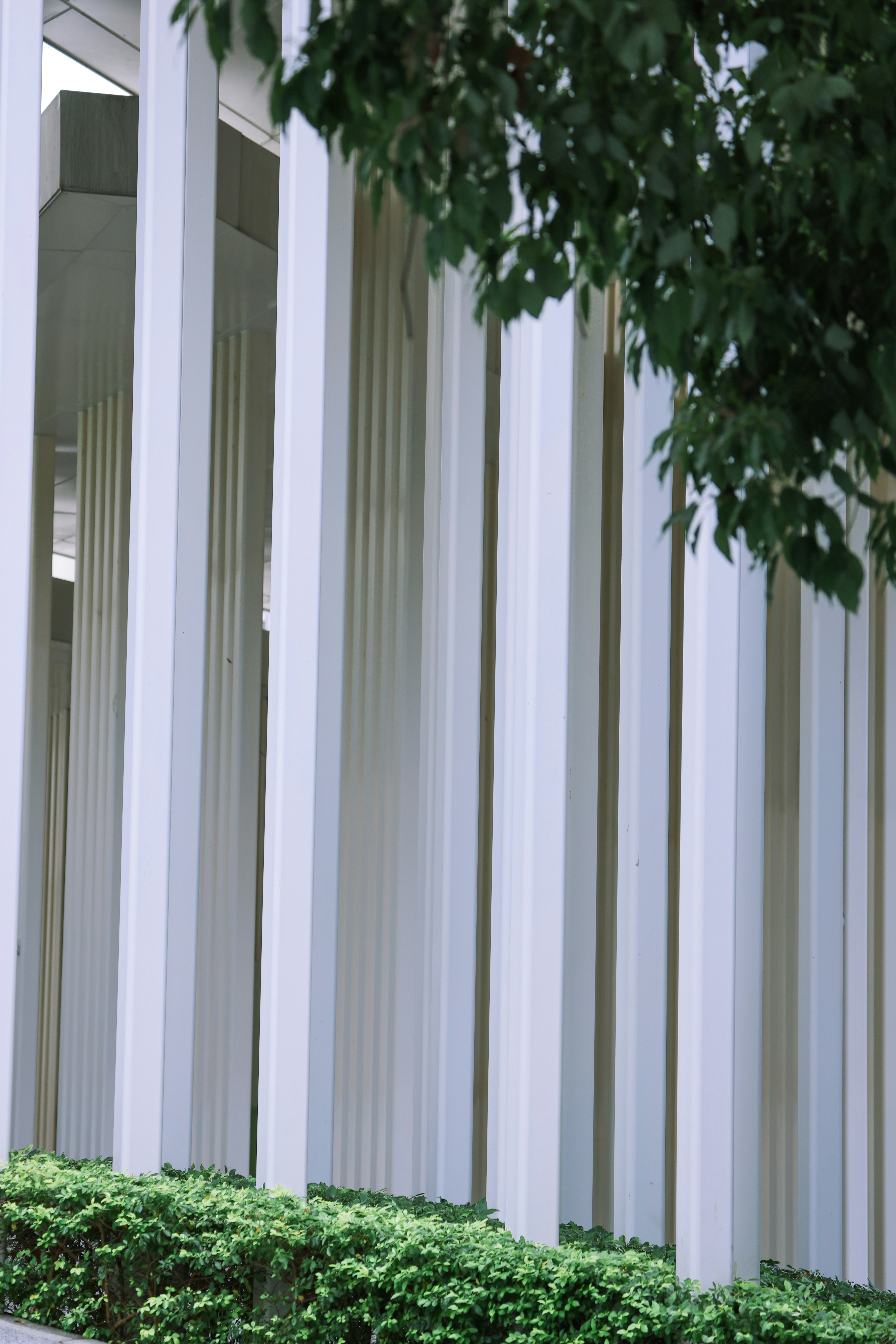 Photo by dickenslin76