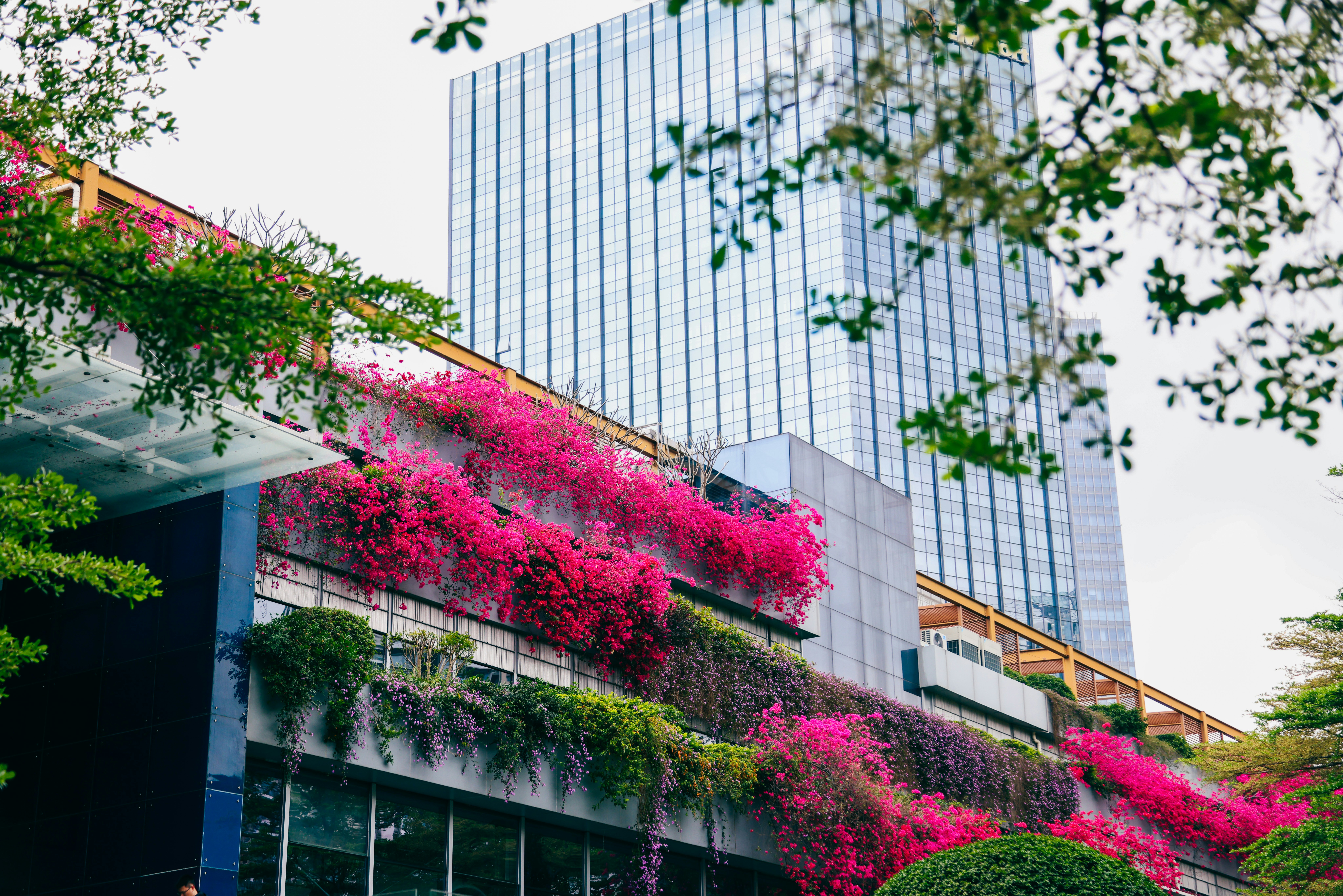 Photo by dickenslin76