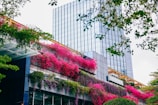 An urban garden with vibrant pink flowering plants hanging over several levels of a modern building. The building has a sleek, reflective glass exterior. Trees with green foliage frame the image from the top and sides.