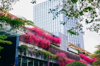 An urban garden with vibrant pink flowering plants hanging over several levels of a modern building. The building has a sleek, reflective glass exterior. Trees with green foliage frame the image from the top and sides.